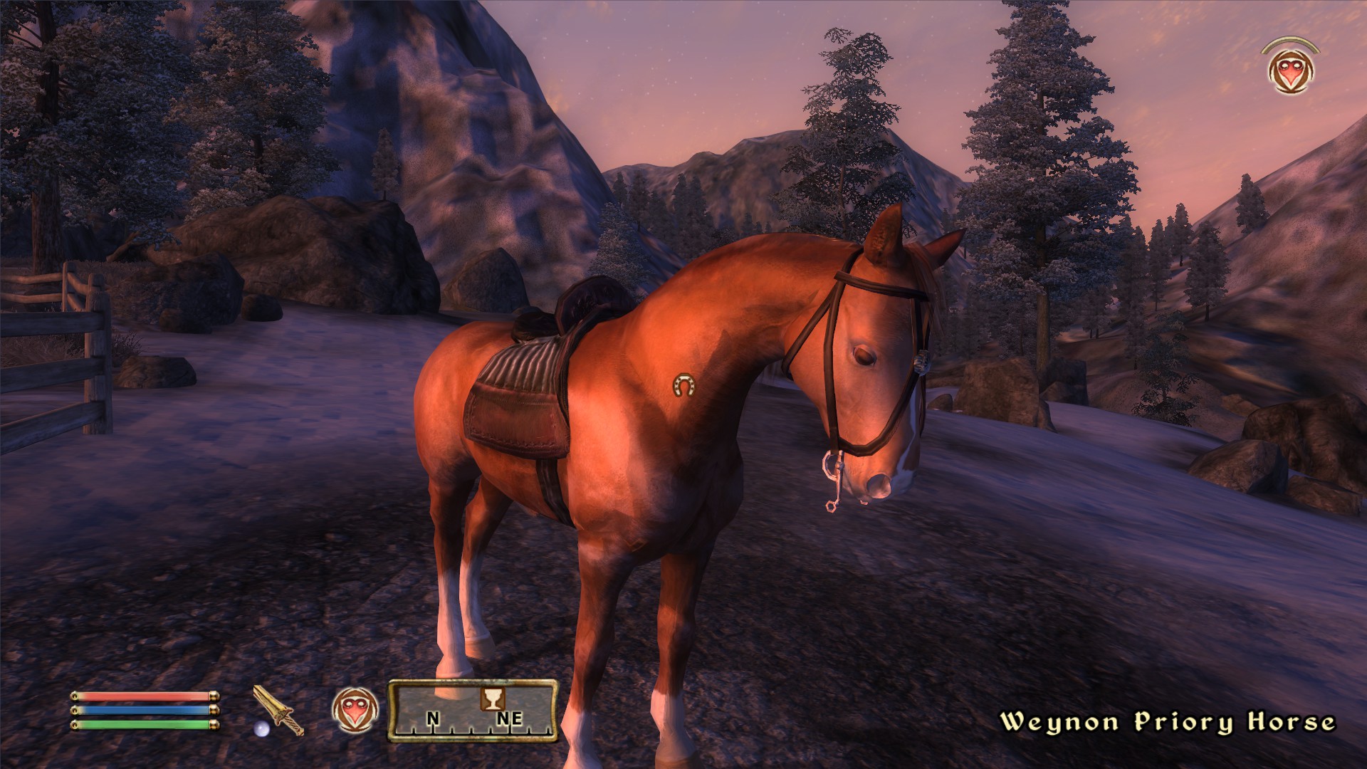 Returned to Bruma after finishing the main quest to store some things