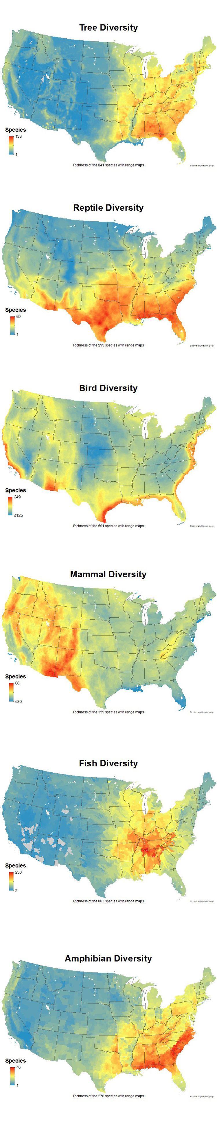 Mapping the Diversity of Mammals in the USA