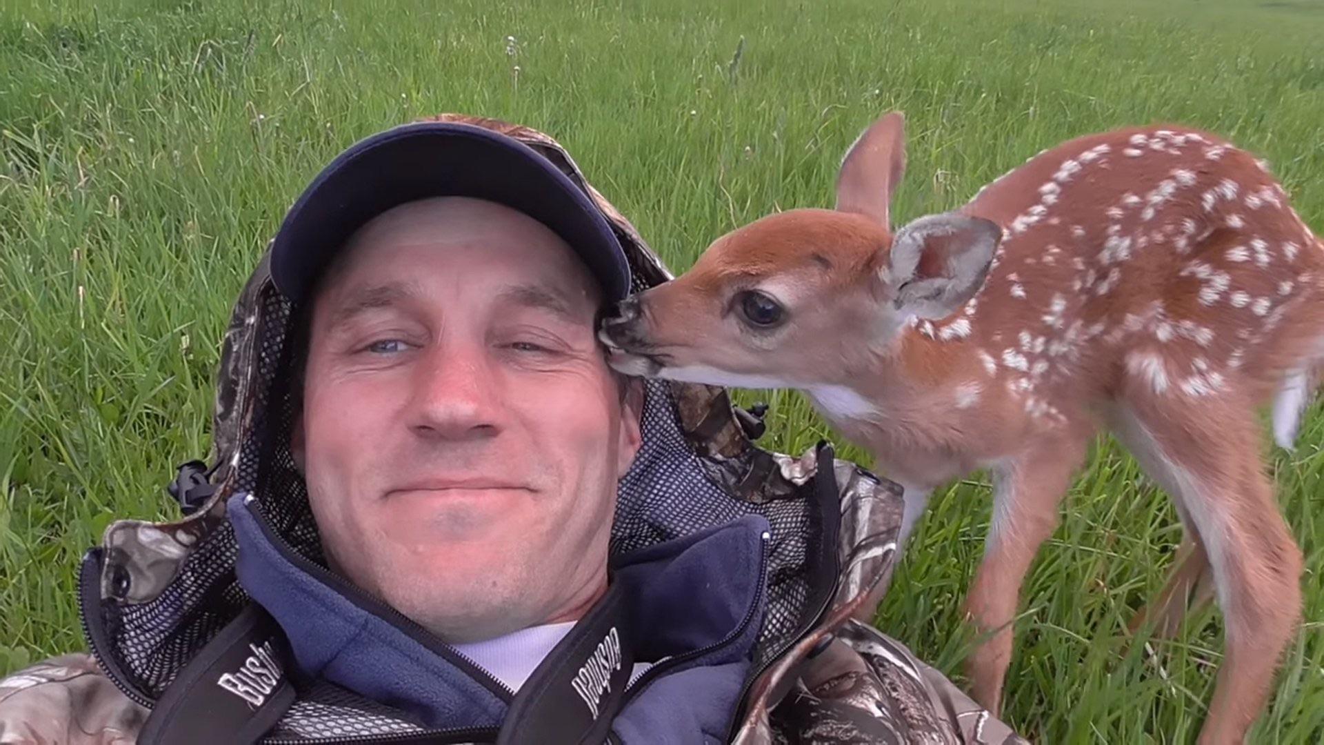 Injured baby deer follows around man who rescued her The Madden Exchange