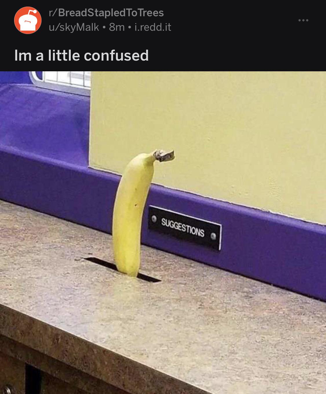 r/breadstapledtotrees = banana in suggestion box?? r/lostredditors
