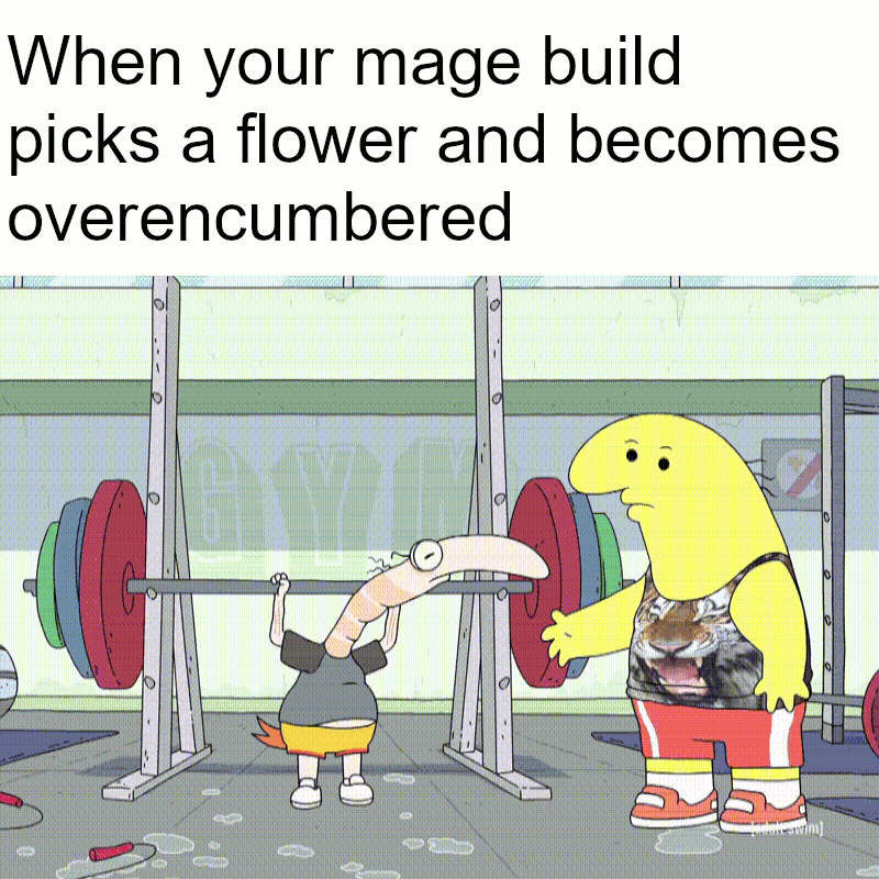 10000 best Noodle images on Pholder Noodlebones, Forbiddensnacks and