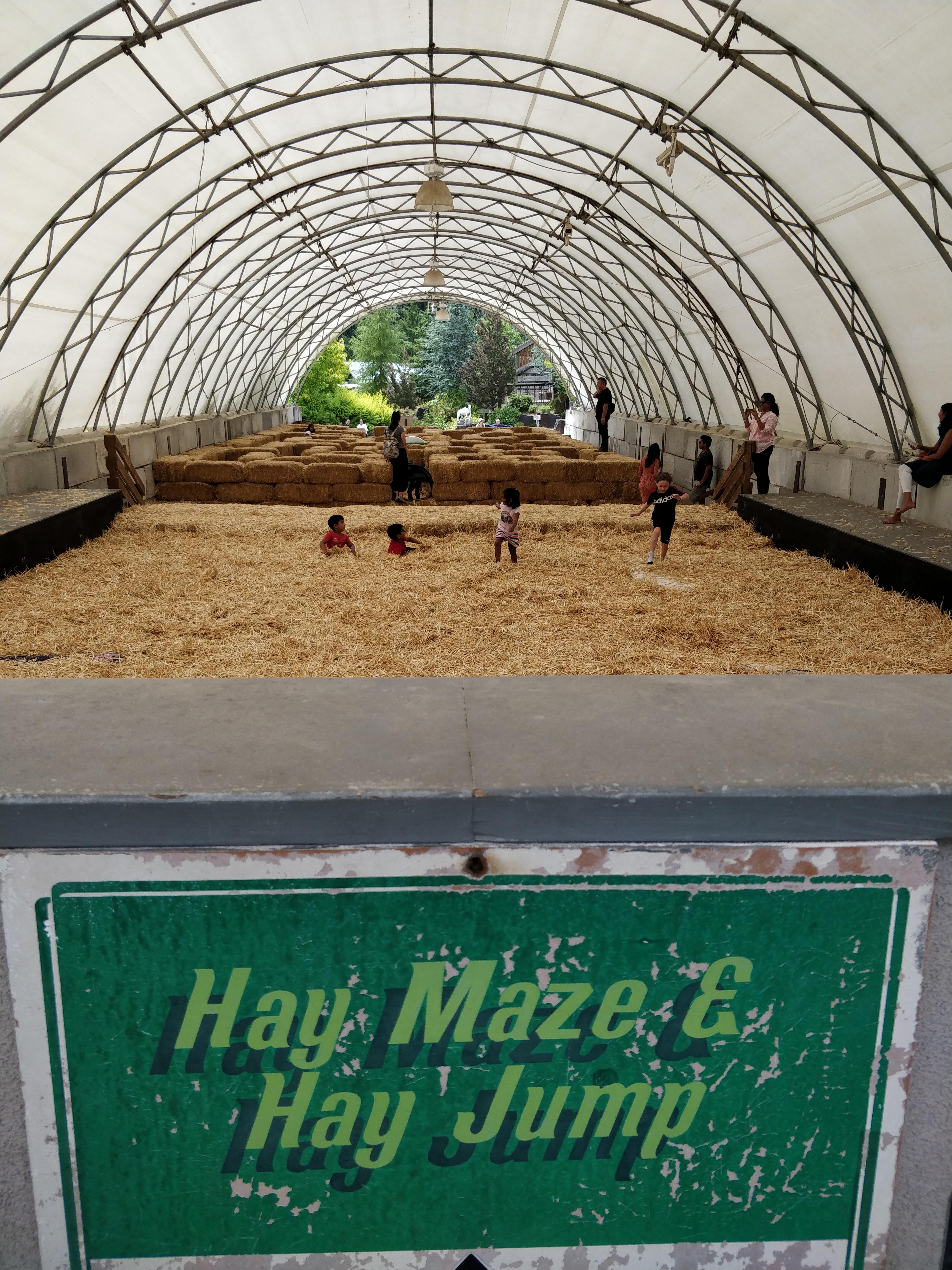 Hay is green and edible to livestock, straw is yellow and used for