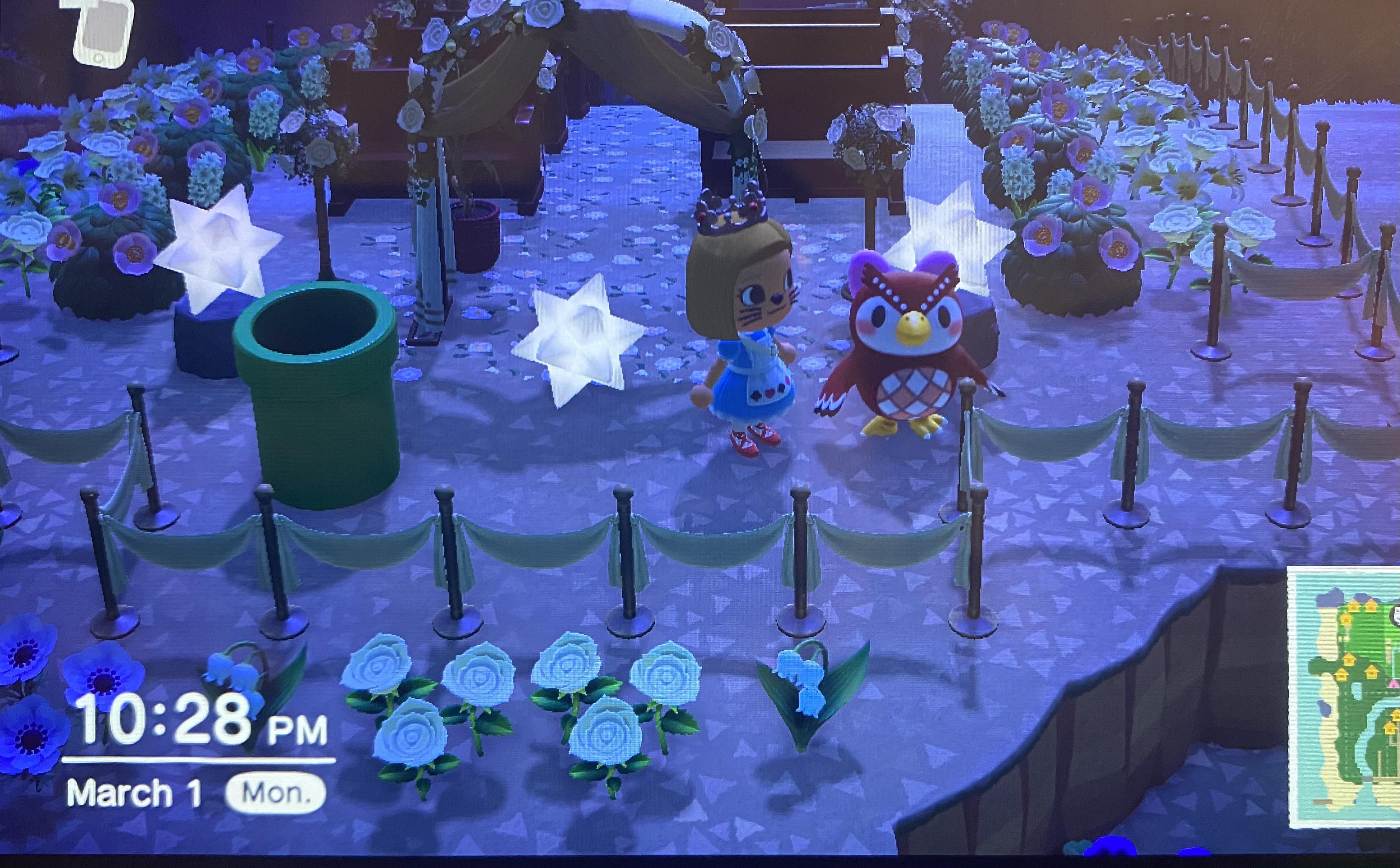 🦉 HootieToot! 🦉 Did you miss Pisces season? It’s a beautiful March