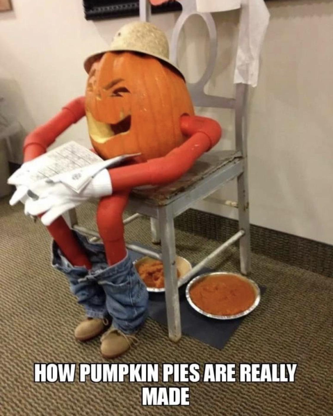 How pumpkin pies are really made! r/funny