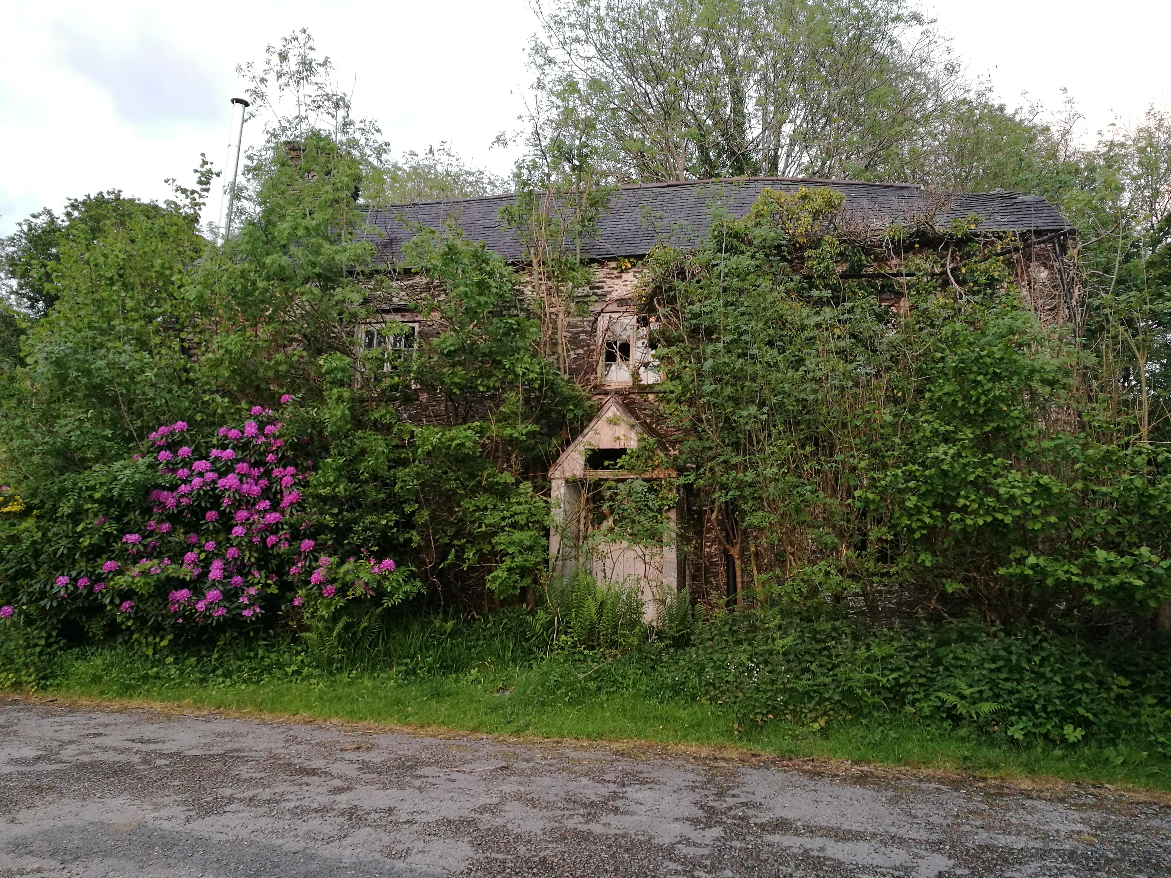 Abandoned house in Western Wales as of 2019 r/AbandonedPorn
