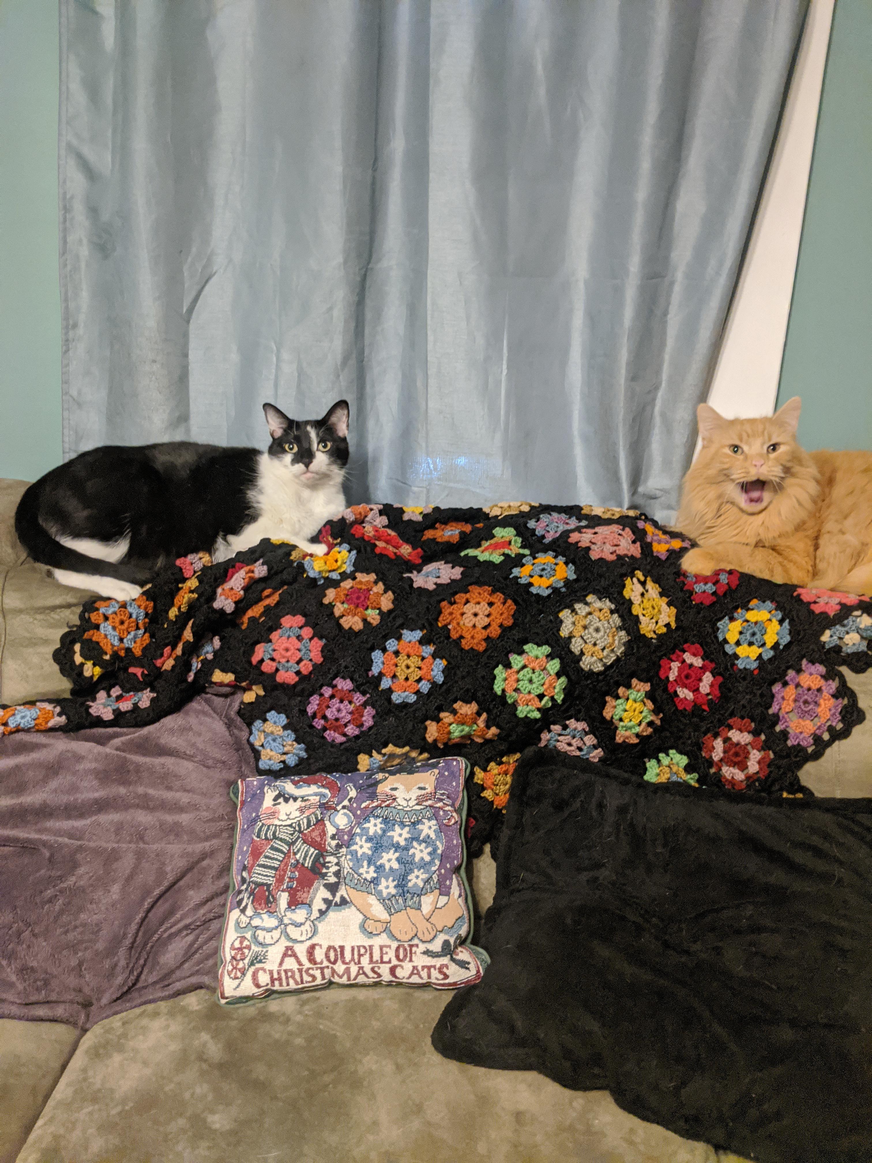 Got the middle pillow for 1 at Goodwill and found the perfect spot for