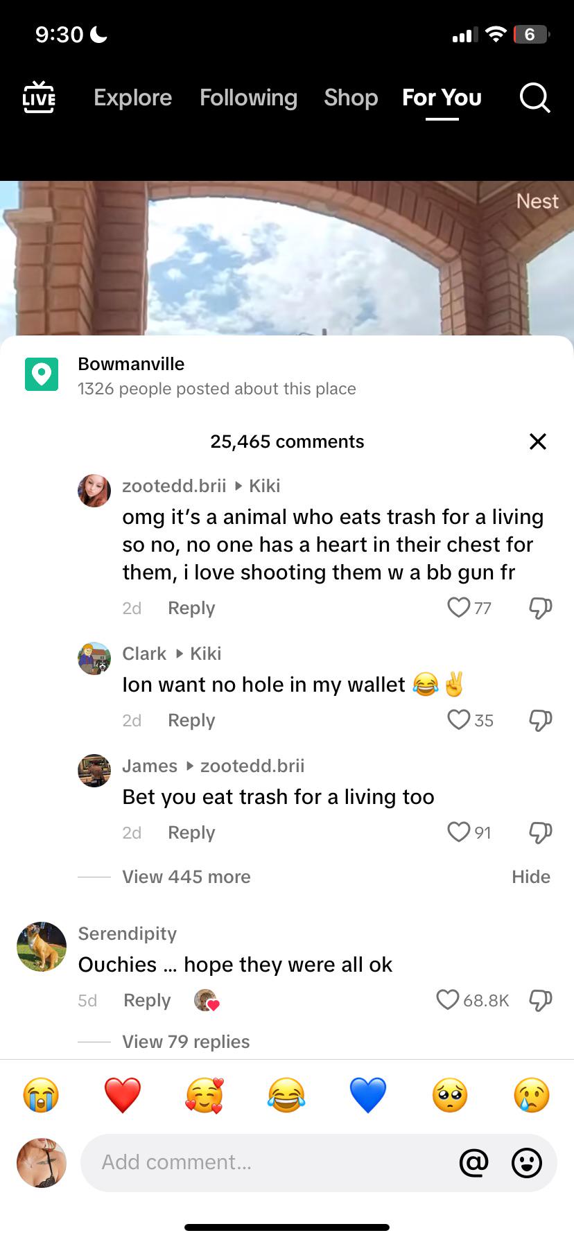 “I love shooting raccoons with BB guns” r/AnimalRights