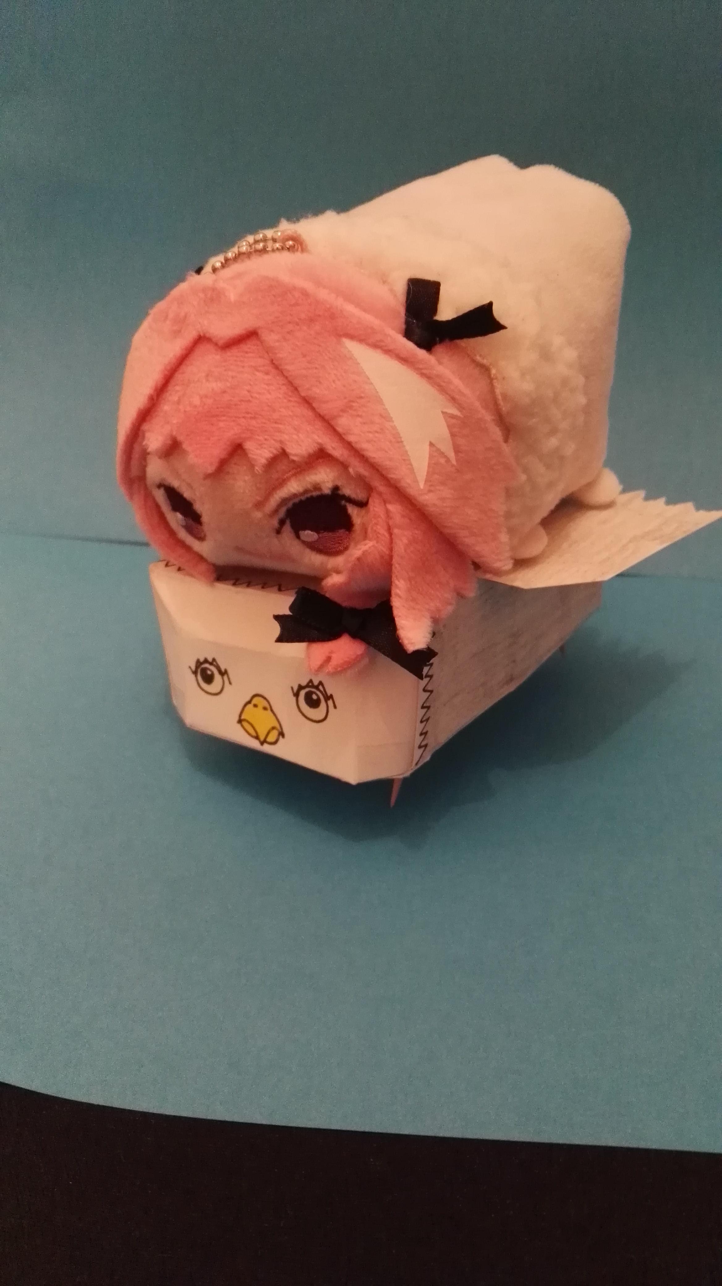 I made my Astolfo plushie a buddy grandorder