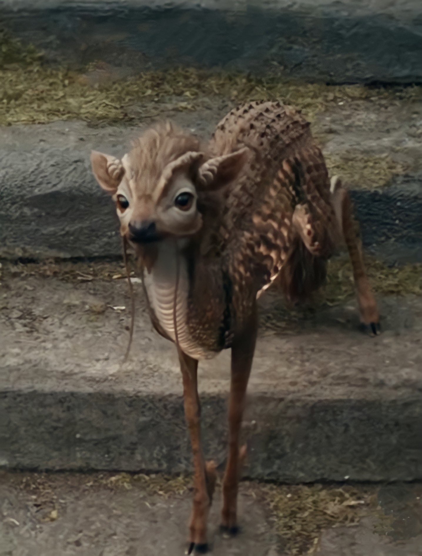 Qilin Harry Potter Wiki Fandom, 56 OFF