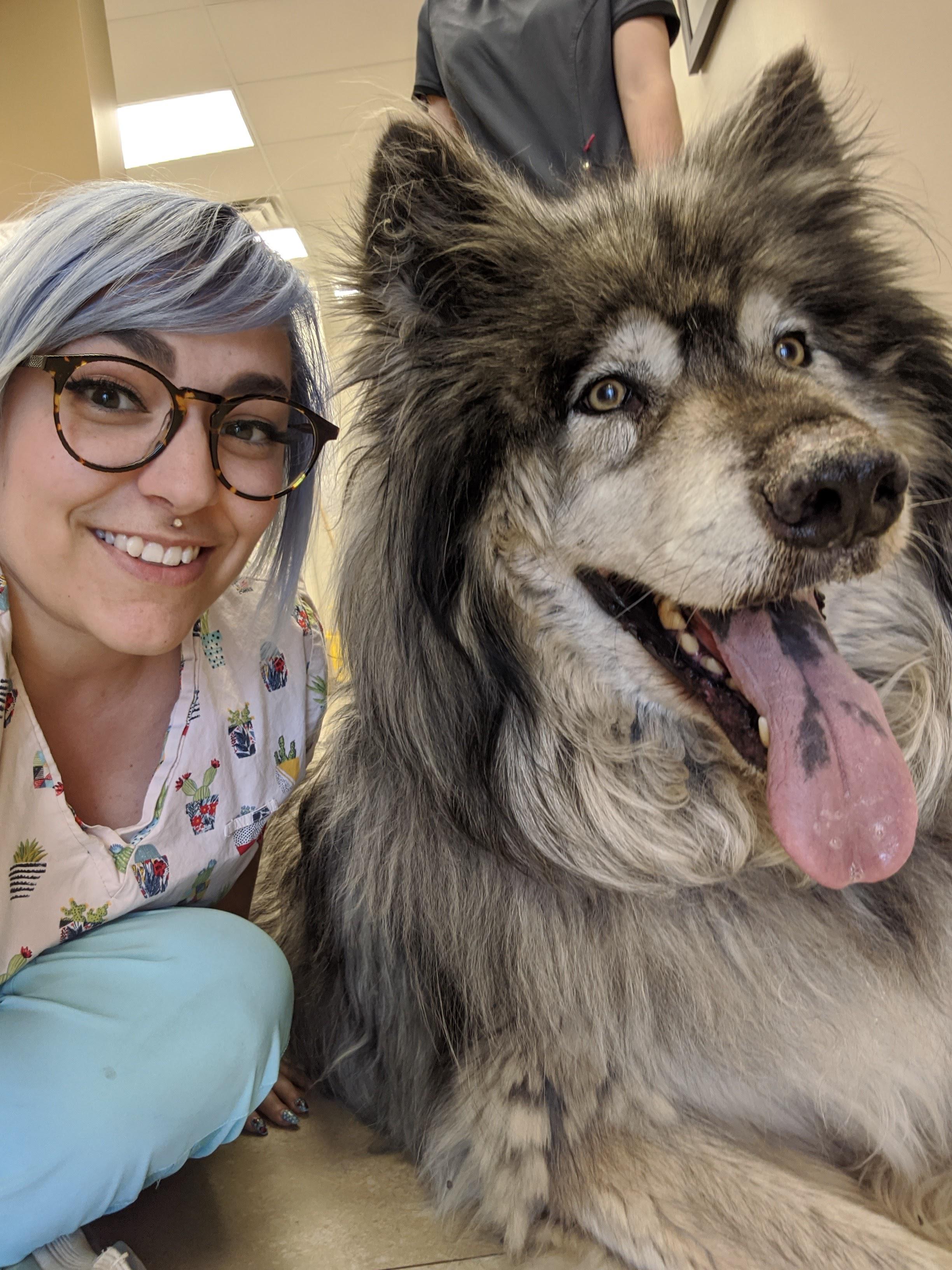 Biggest dog I've ever seen irl