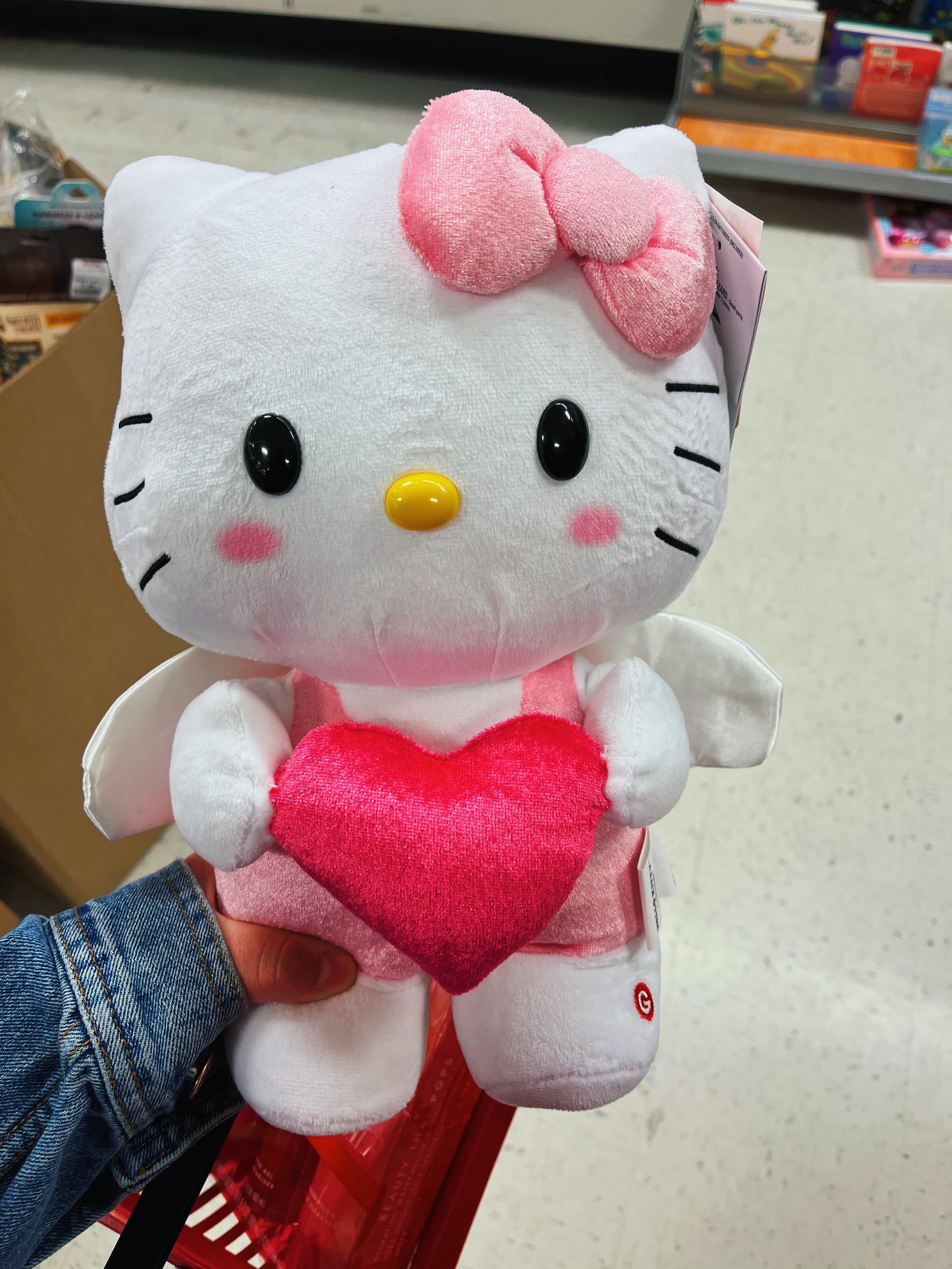 Found this cutie at Tj Maxx today. I’m in love 🥺😩 r/HelloKitty