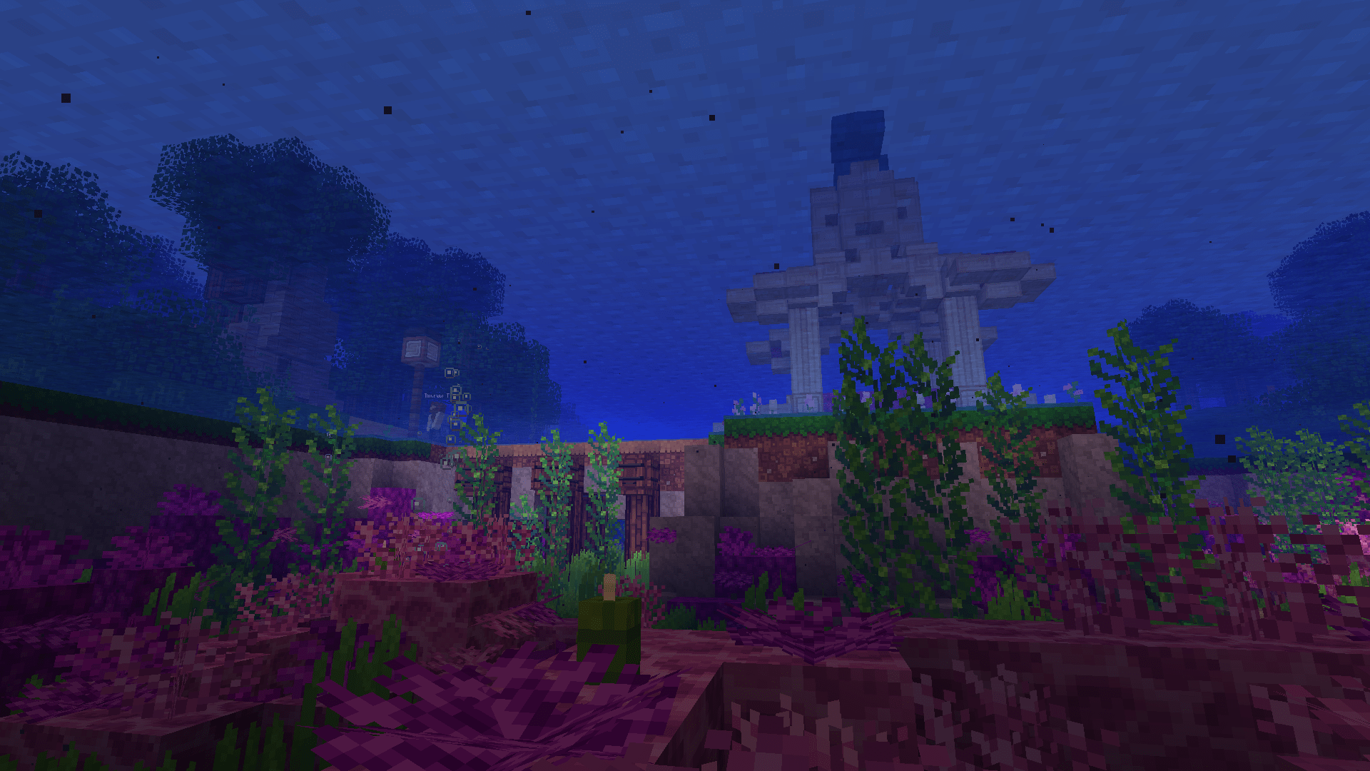 Underwater Minecraft in its full beauty (1.13.2) r/Minecraft