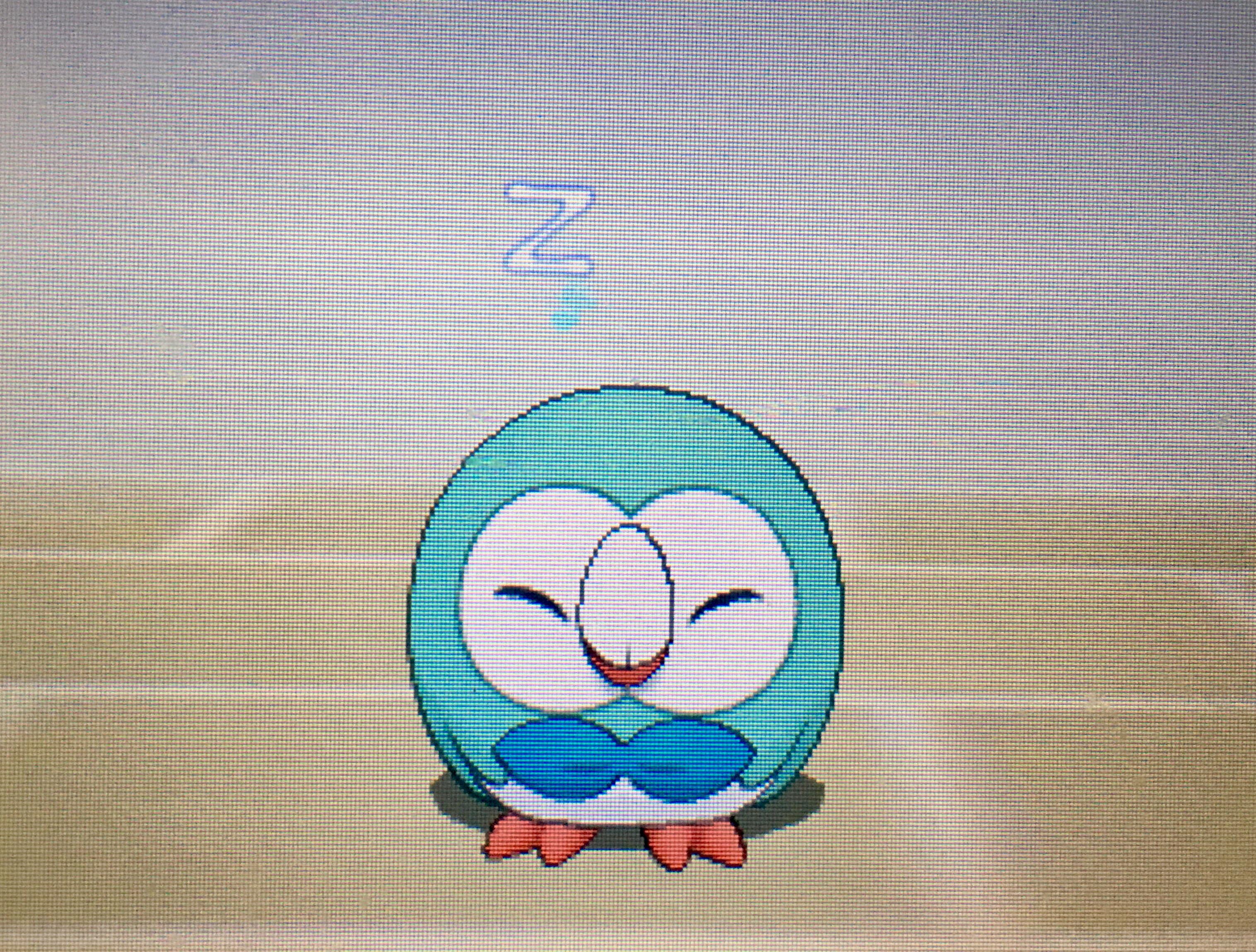 [7] First shiny in almost a year, and the little guy hatches exactly on