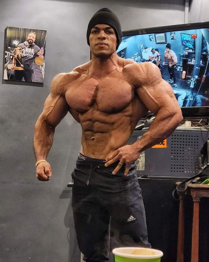 Ahmed Shokry 4 weeks out from Mr Olympia Physique. r/bodybuilding