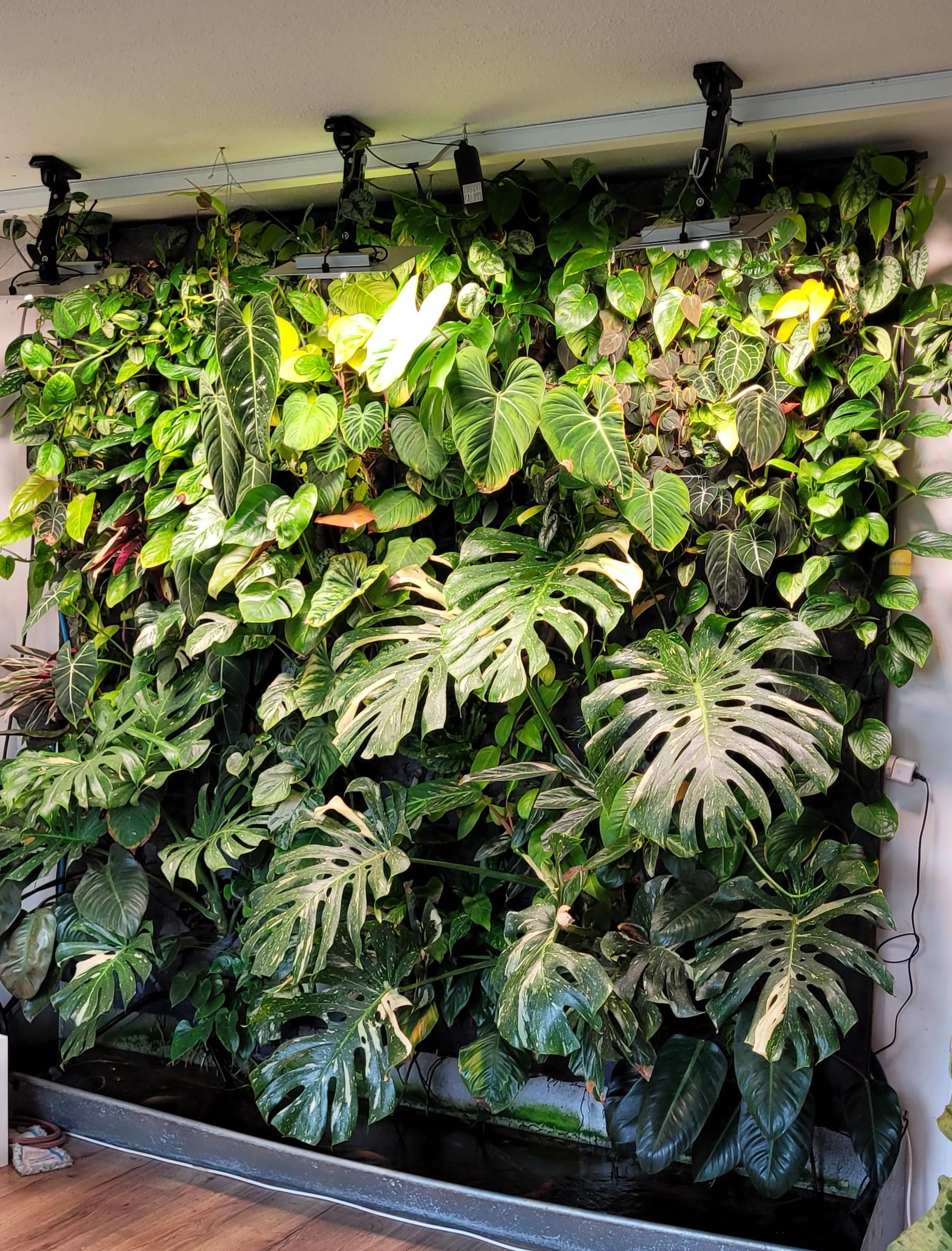 I made a plantwall in my livingroom r/houseplants