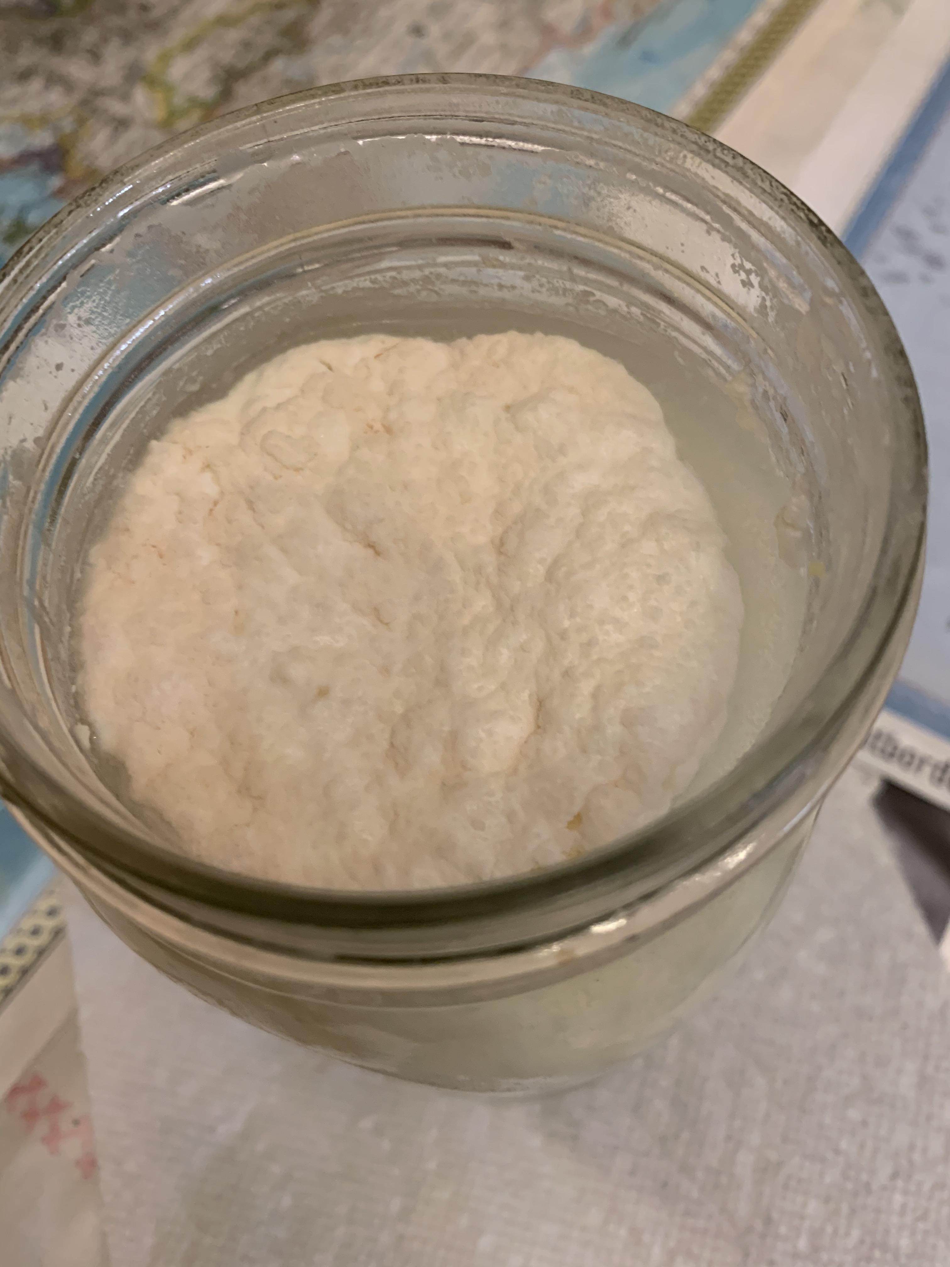 Is this mold in my milk kefir? r/Kefir