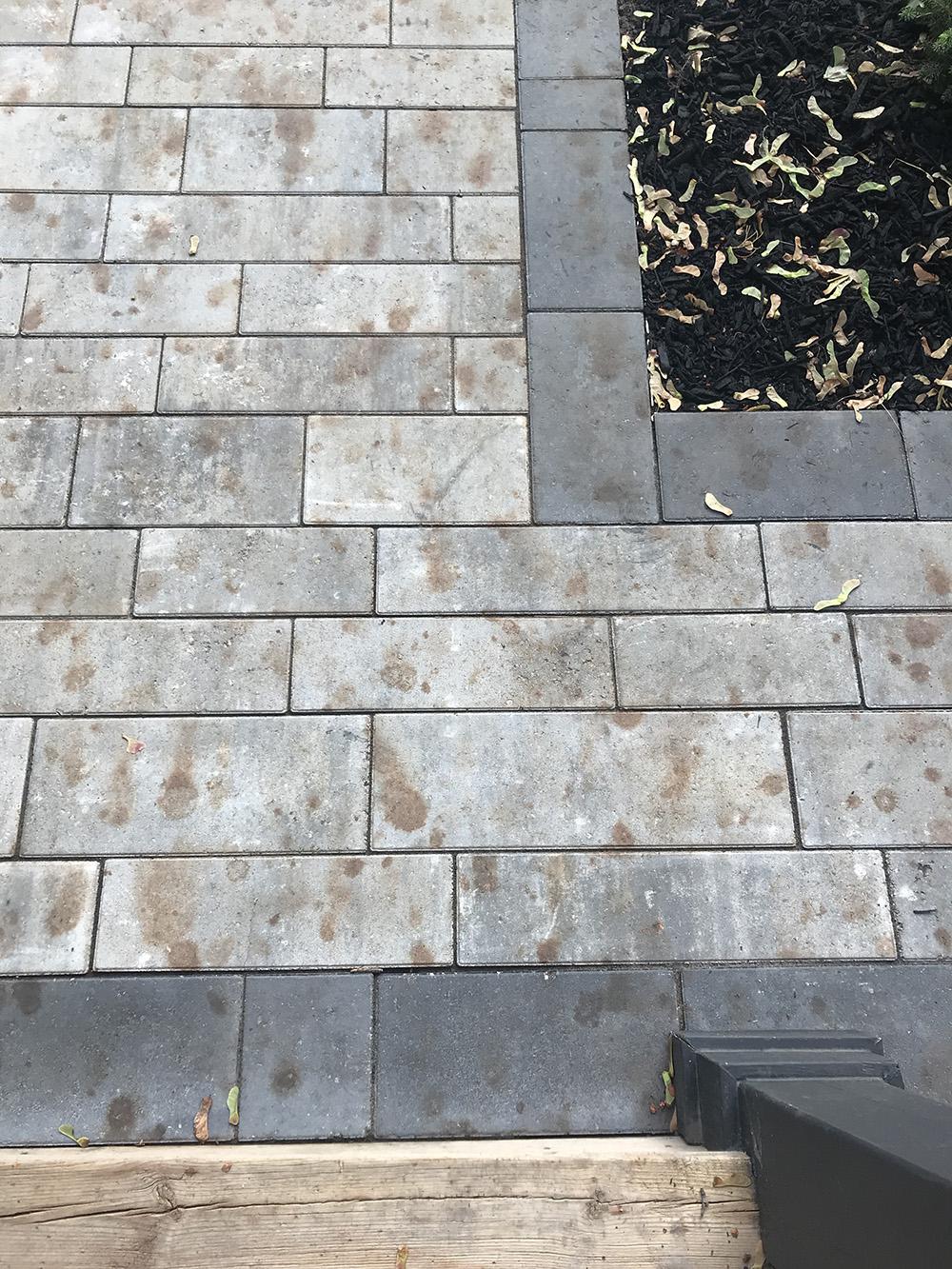 Nasty stains on new pavers caused by falling maple tree seedlings. Any