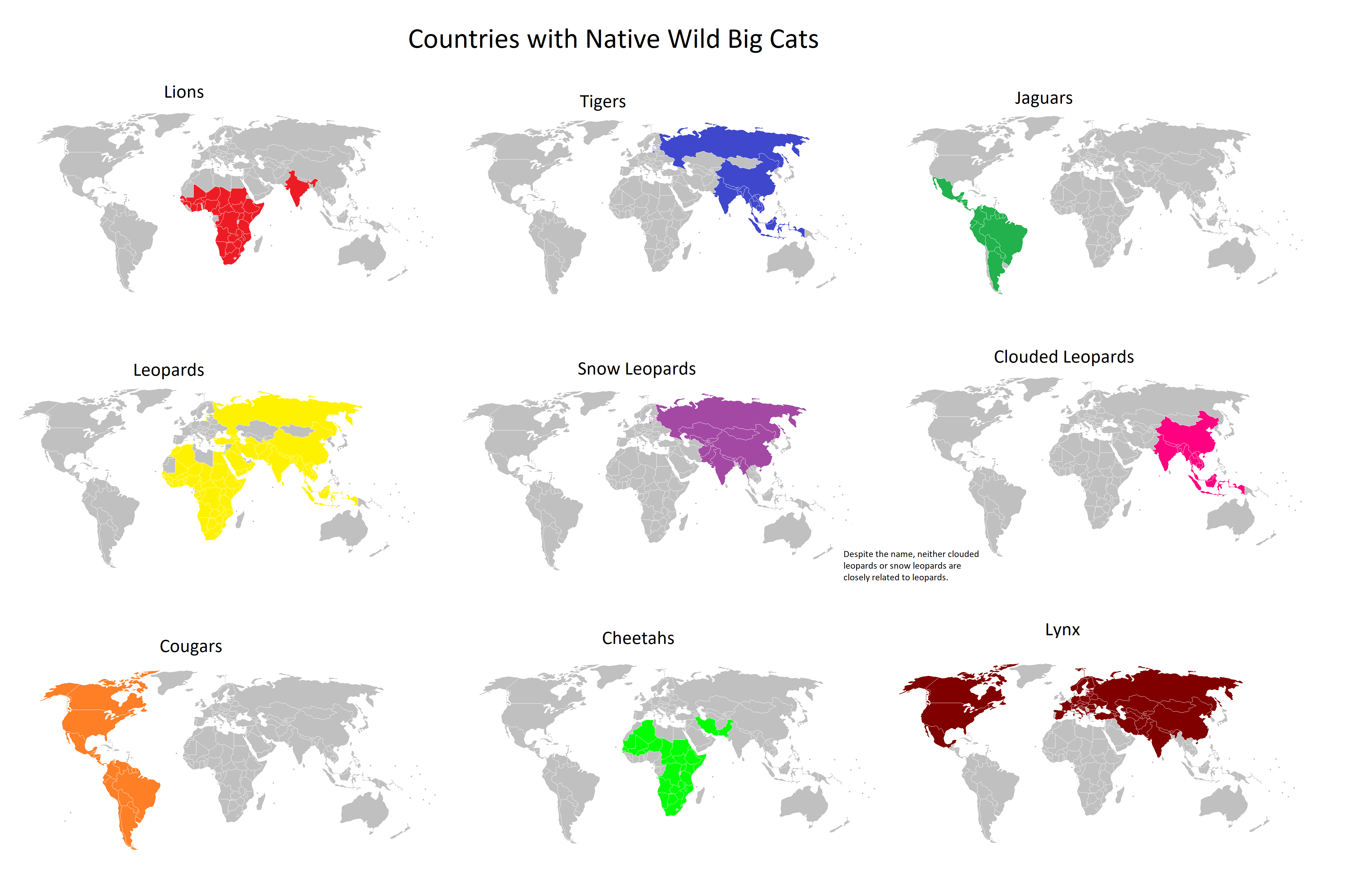 Countries with Native Wild Big Cats r/MapPorn
