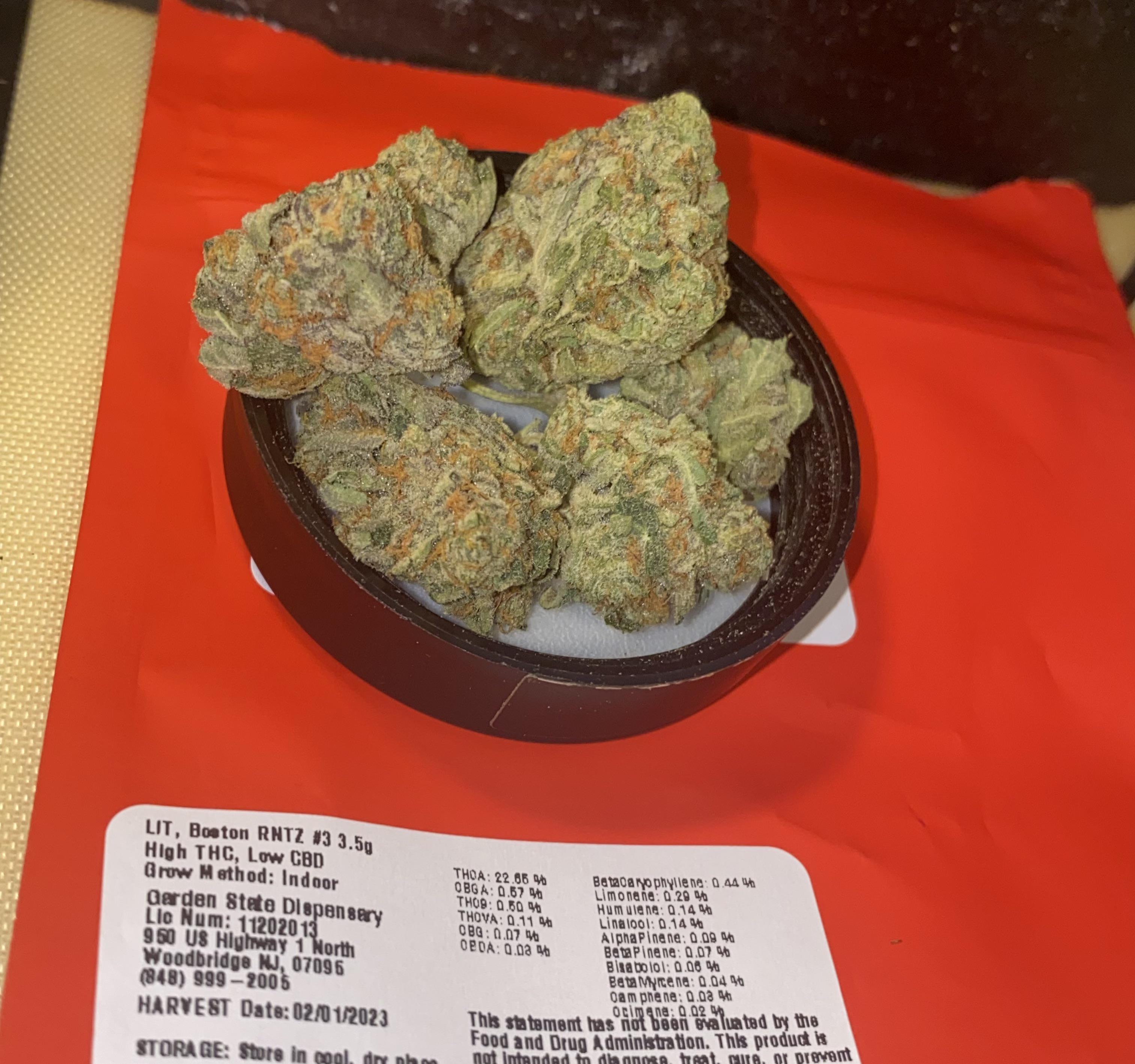 Strain Boston RNTZ 3 Lineage Boston Cream Pie x Rntz Cultivator