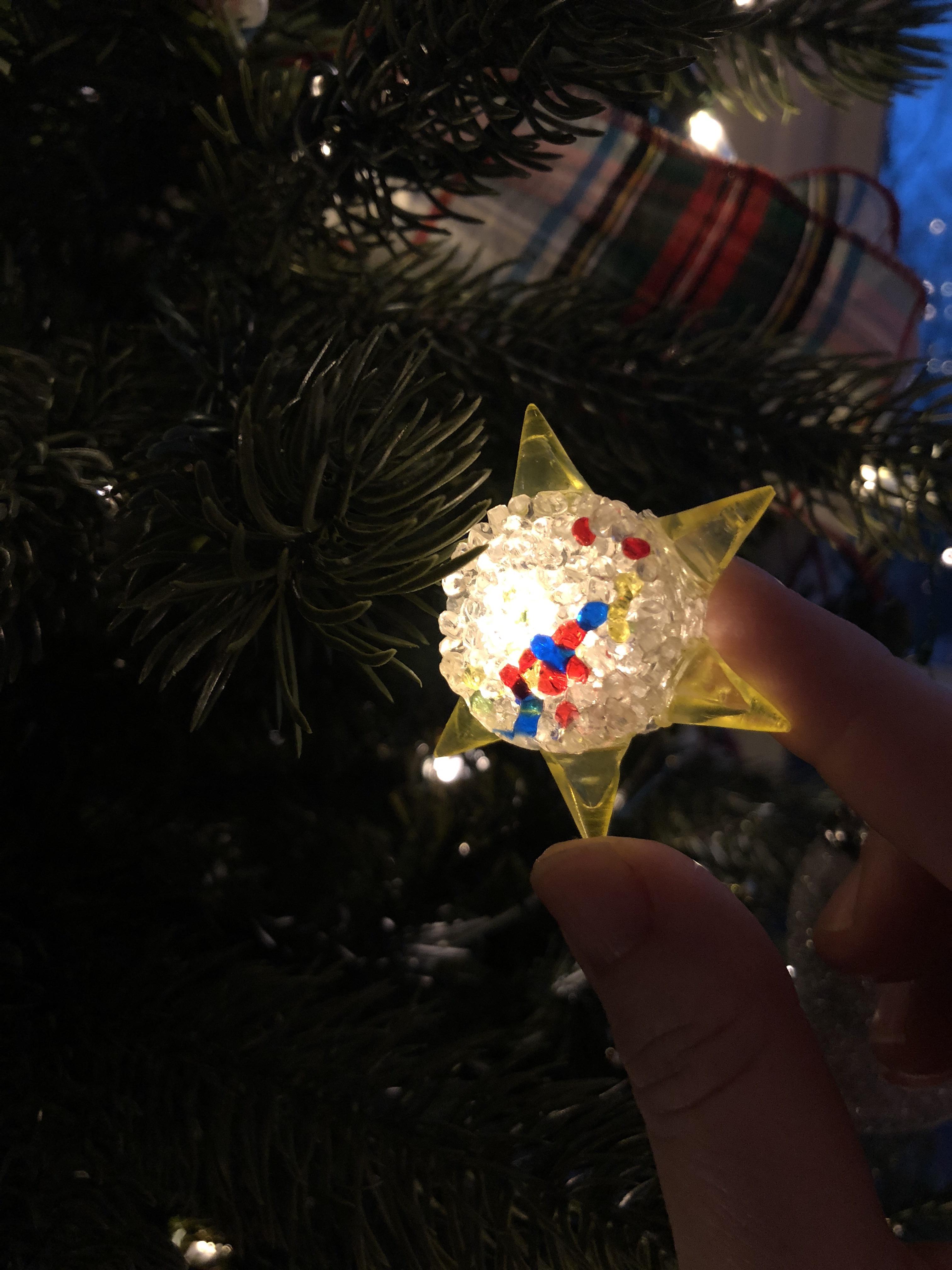 Help solve this mystery! What type of ornament is this? It covers