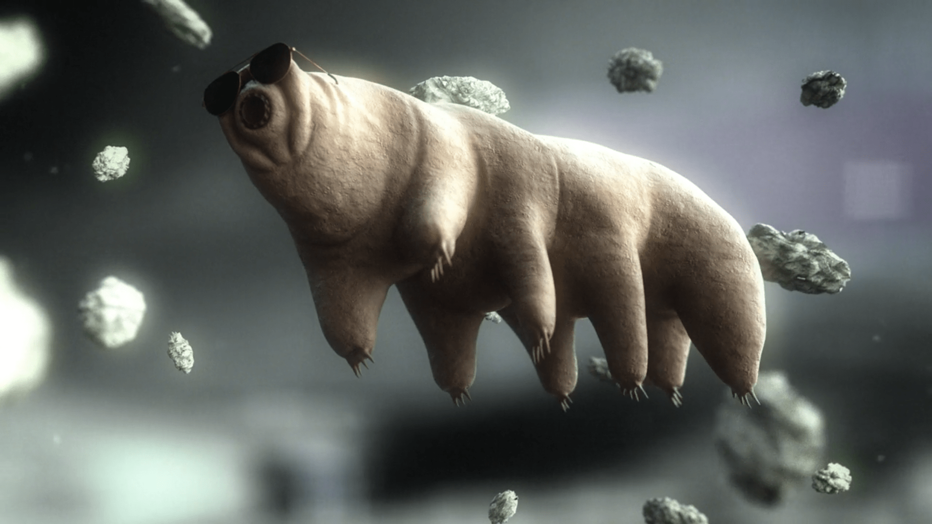 tardigrade screenshot from the new bill nye show. wallpapers
