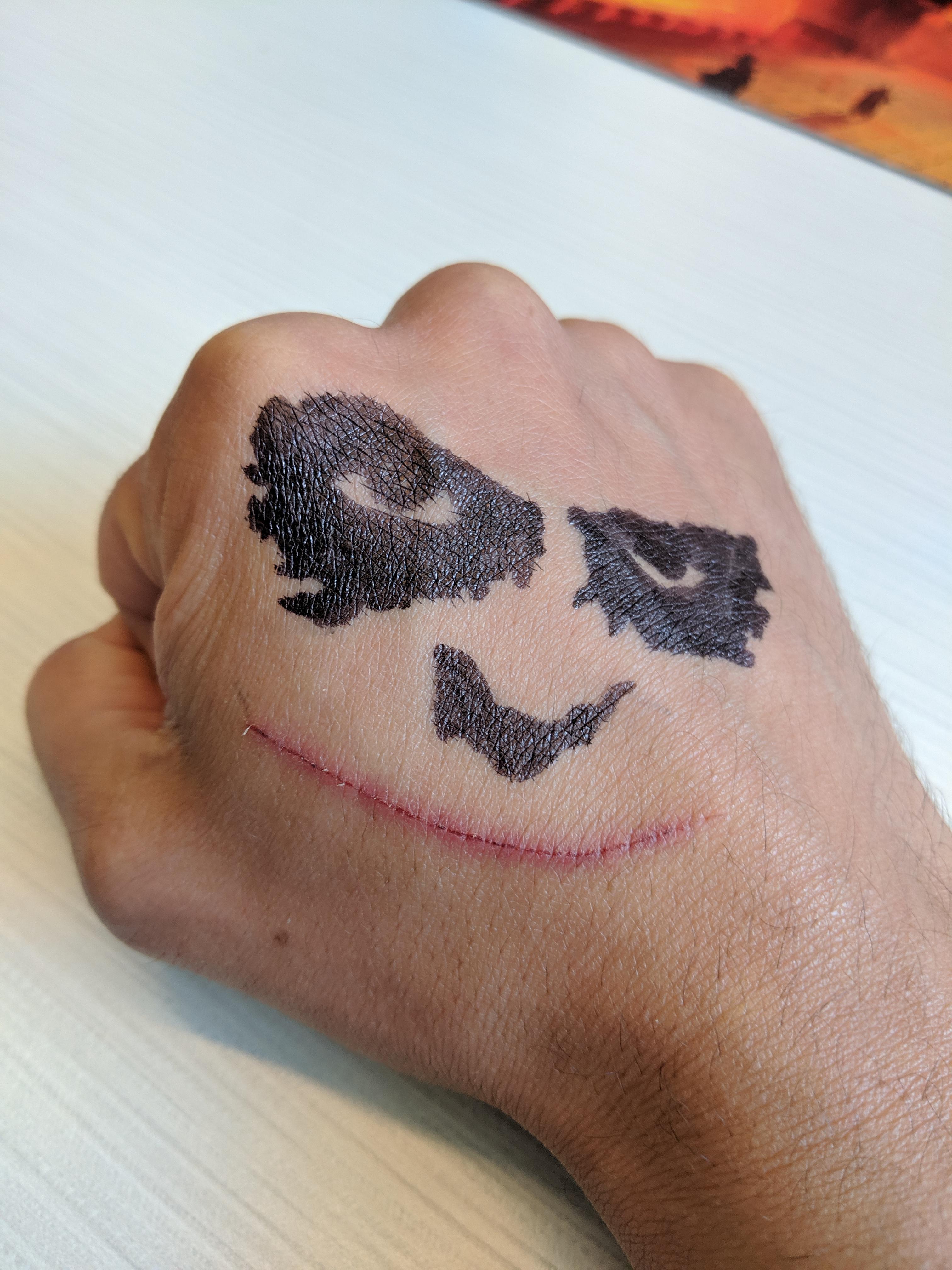 My cat scratched me last night. I fixed it today. r/pics