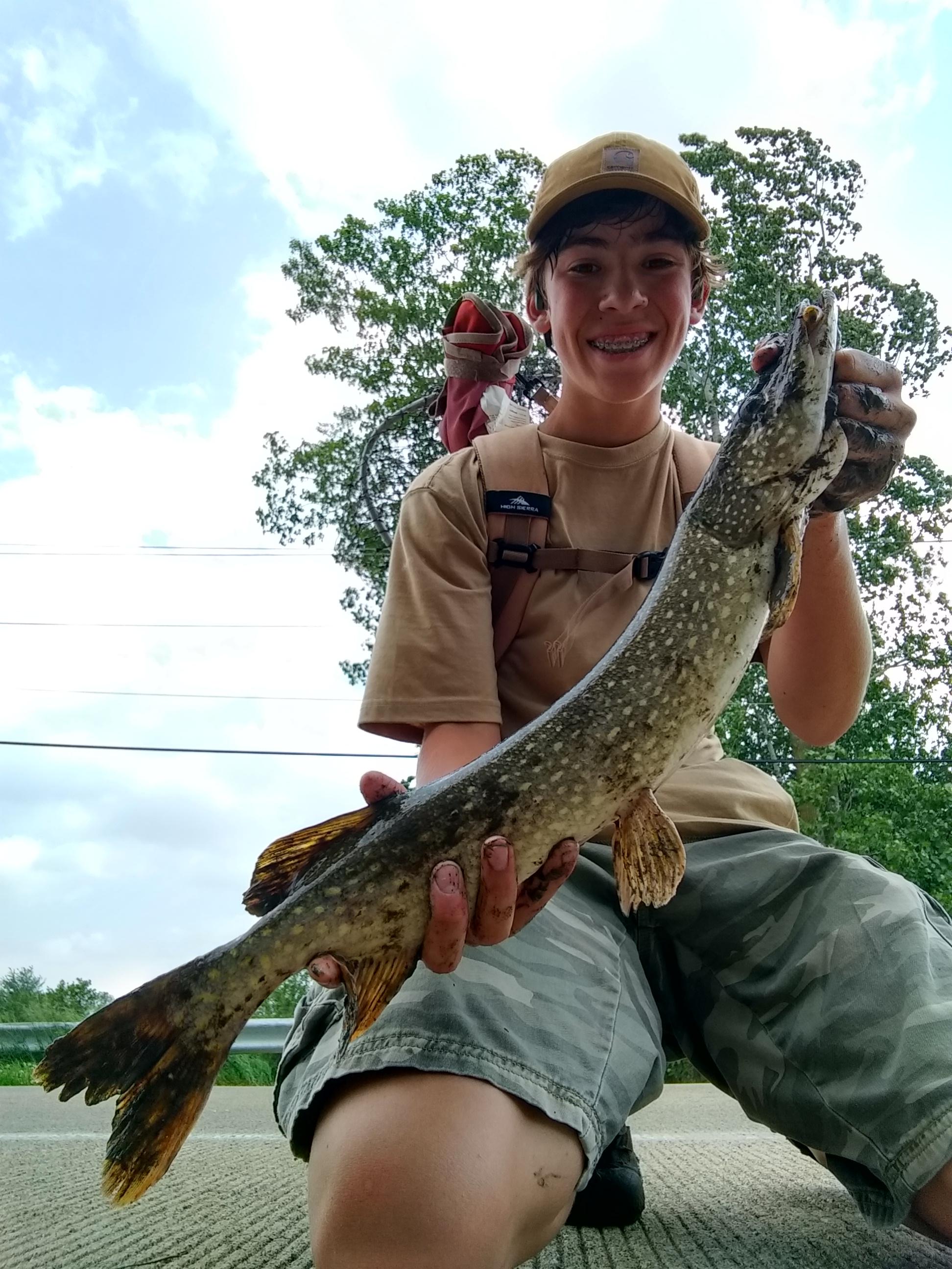 Caught my first ever pike today out of a small creek in NW Ohio, any
