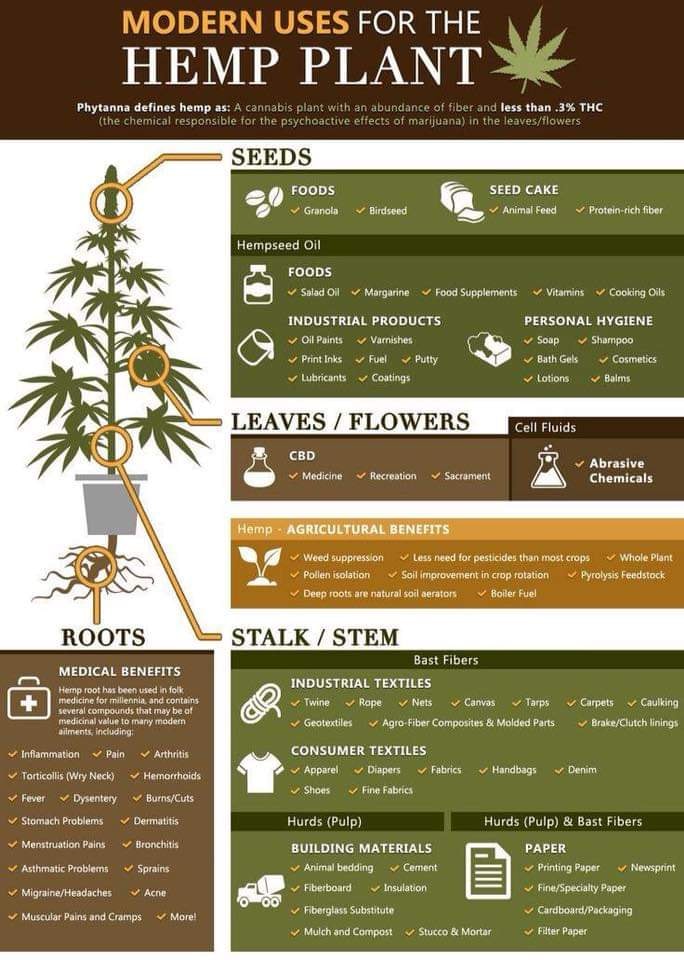A Nice Infographic on the many uses of the hemp plant! r/hemp