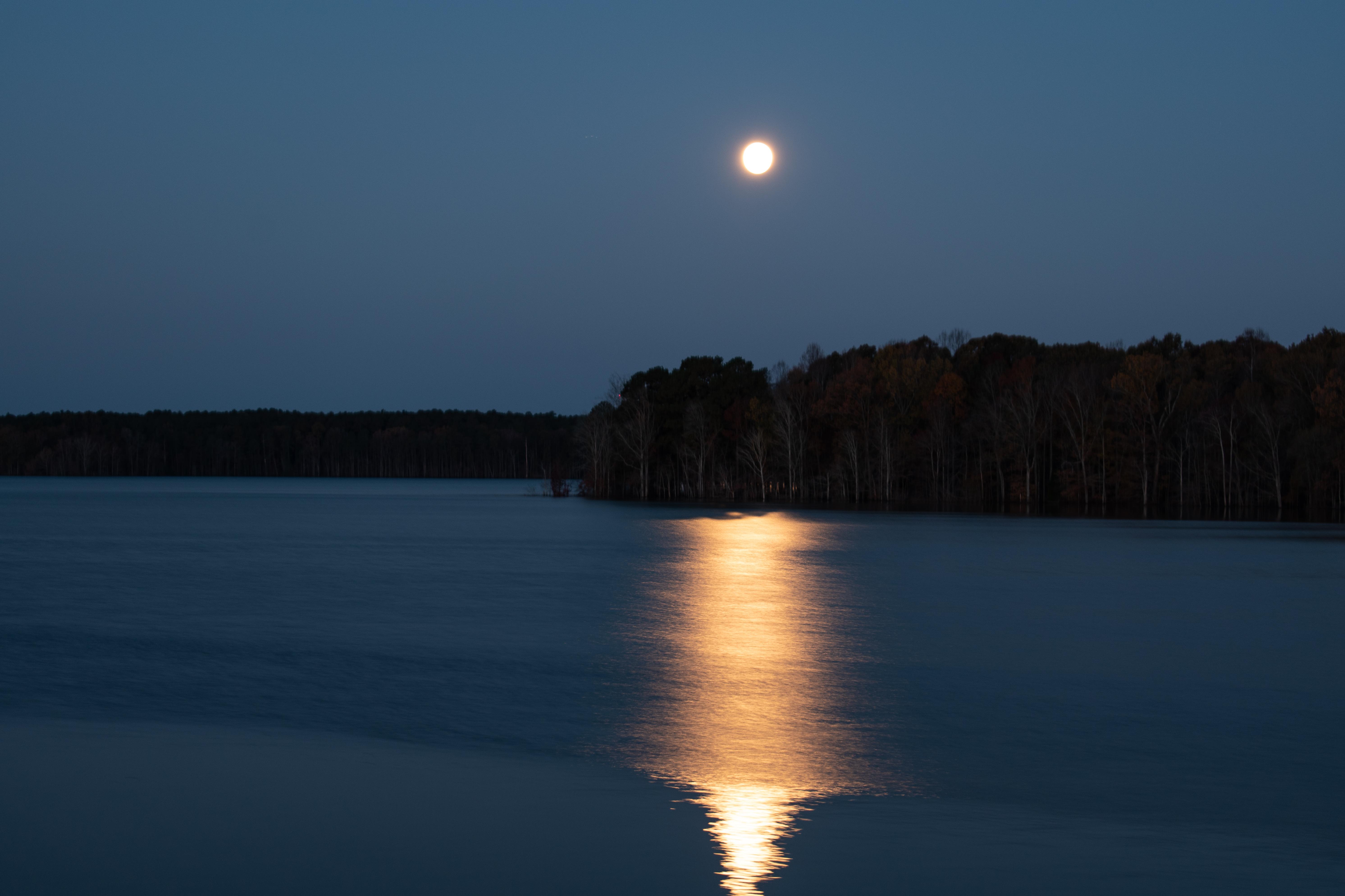 Jordan Lake, North Carolina [5969x3979] [OC] r/EarthPorn