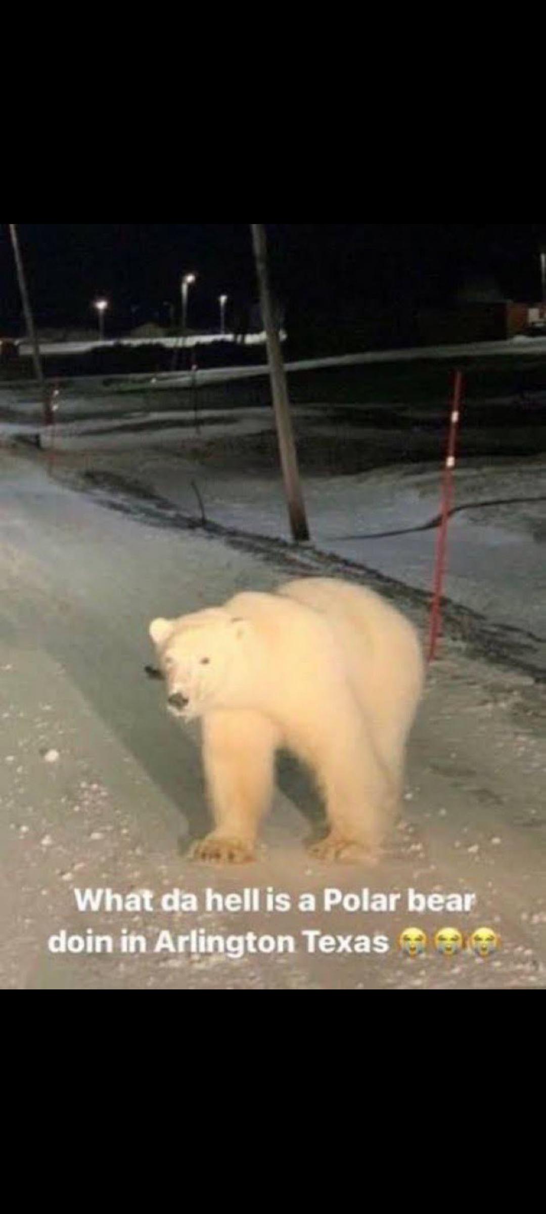 What's the story behind this? r/arlington