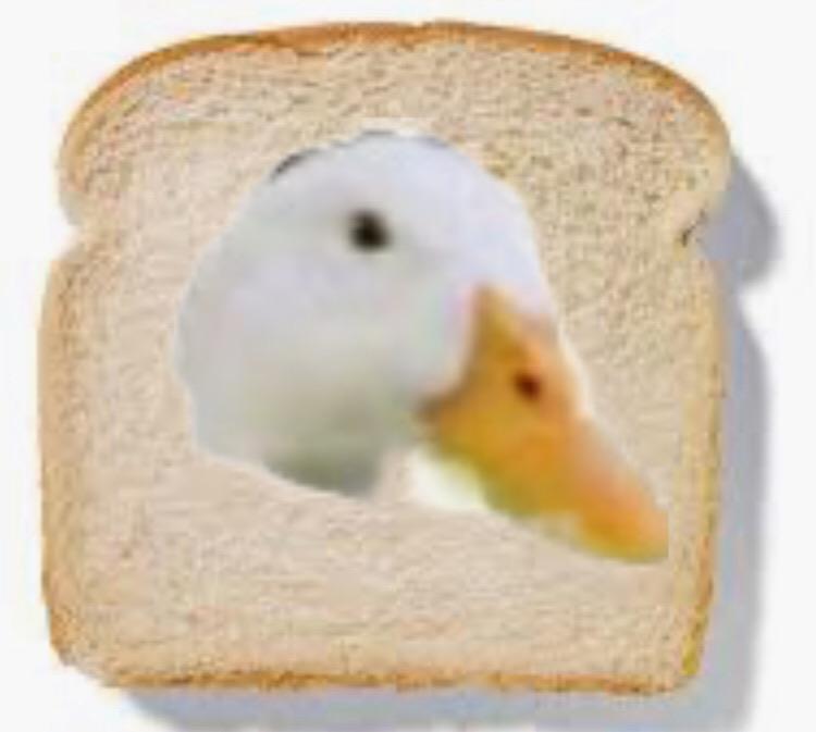 Duck bread r/duck
