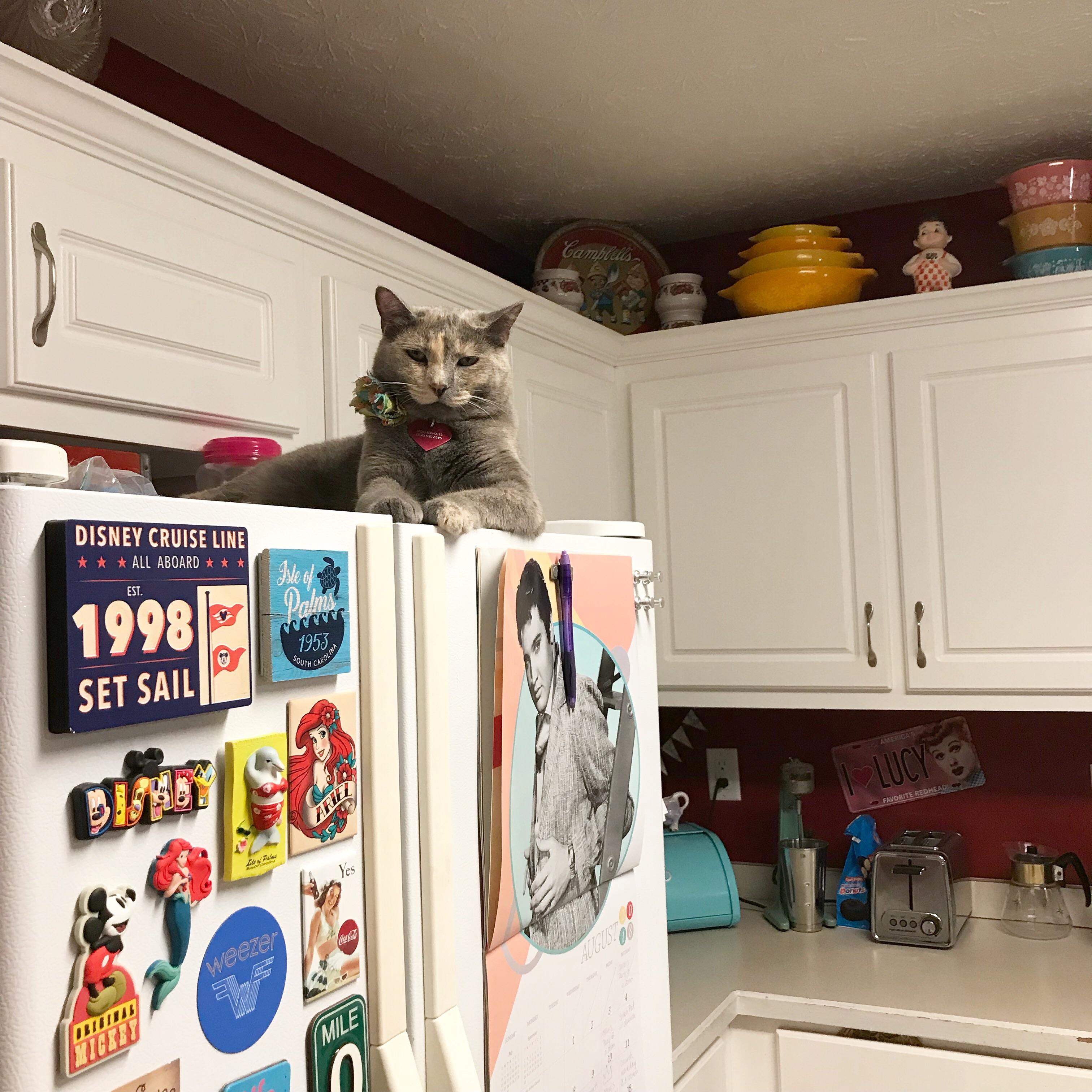 I wanted to make chocolate milk, but that would mean messing with the