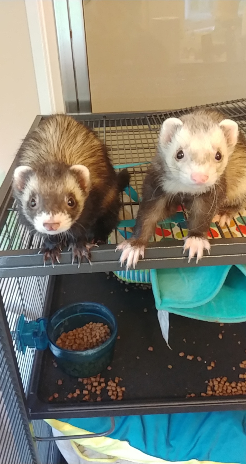 Is there anyone in the Lowcountry of South Carolina who would like to