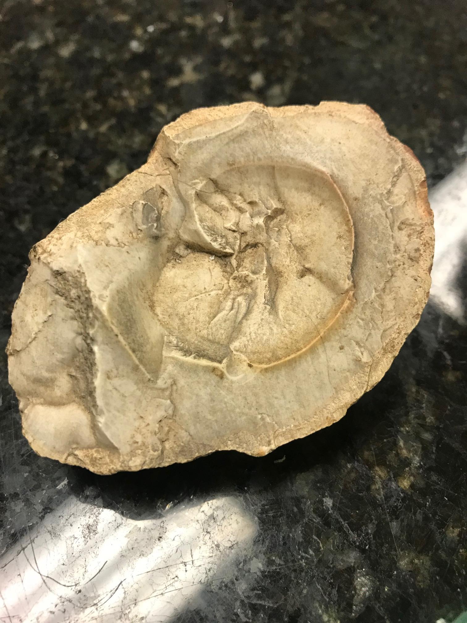 Brought in by a customer, thought it was a fossilized dinosaur egg