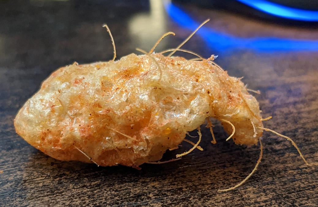 This pork rind with hair still attached that I shoved in my mouth while