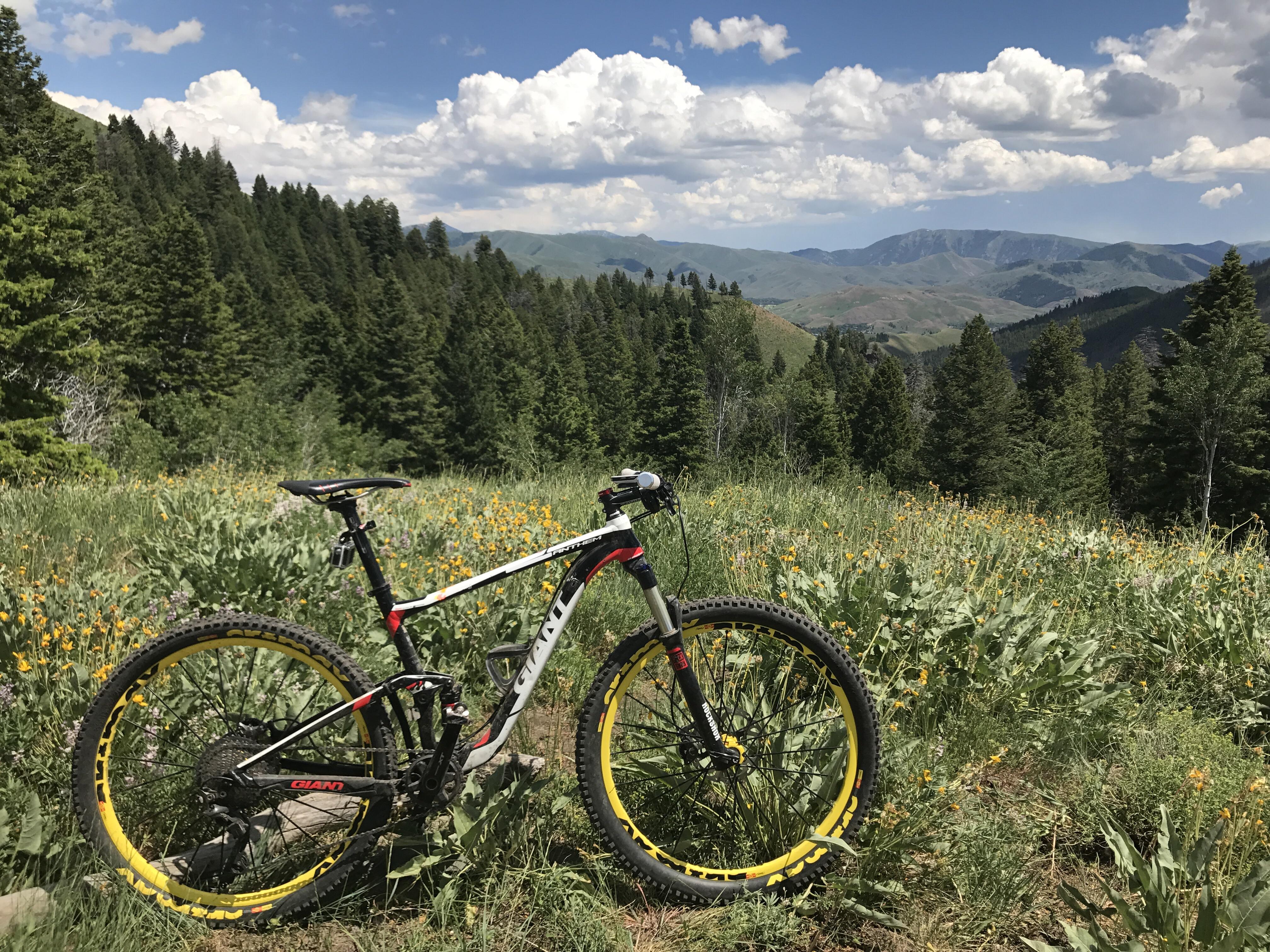 Mountain Biking in Ketchum, Idaho r/bicycling
