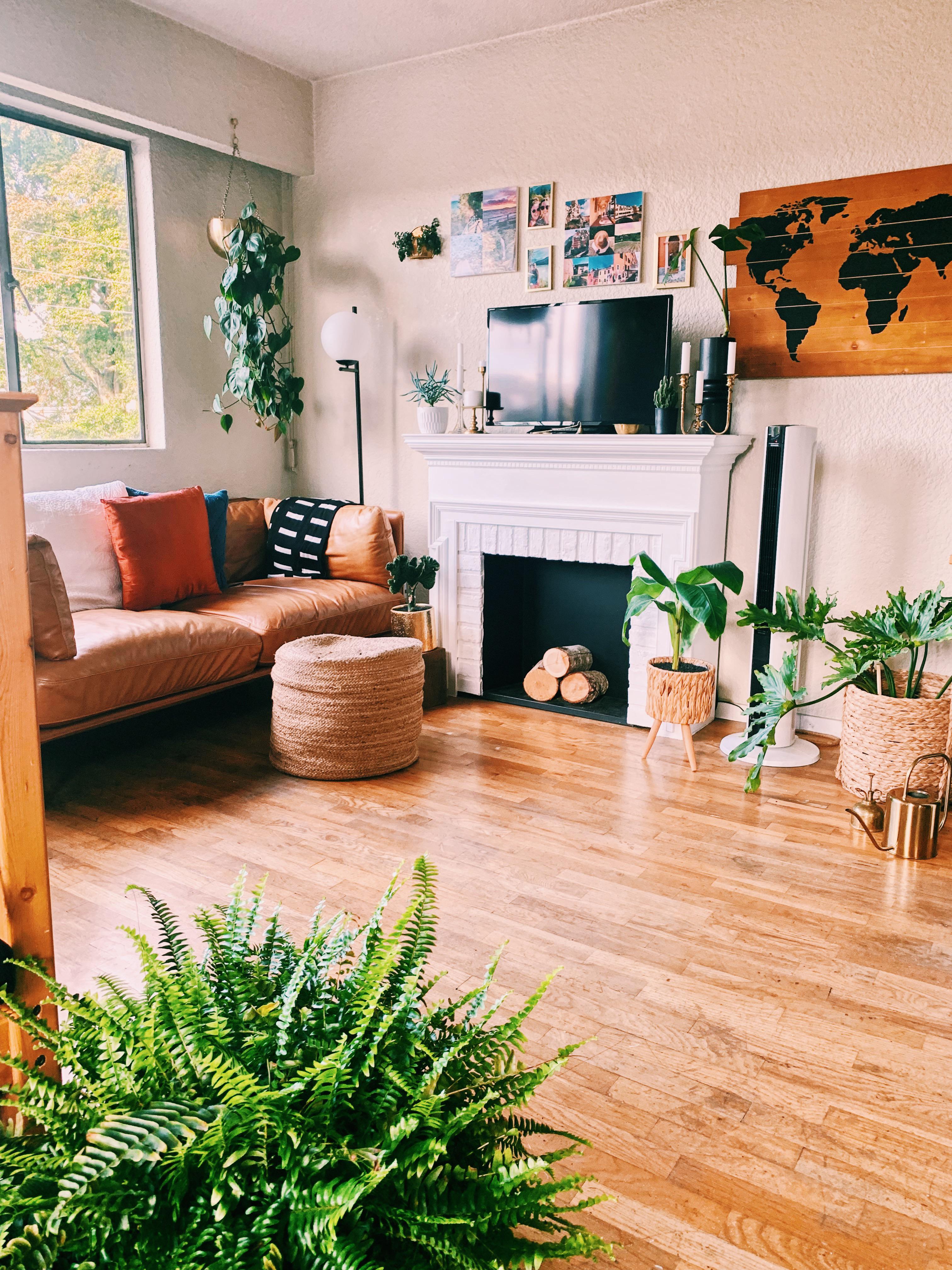My bright, plant filled “livingroom” in my studio apartment. Vancouver