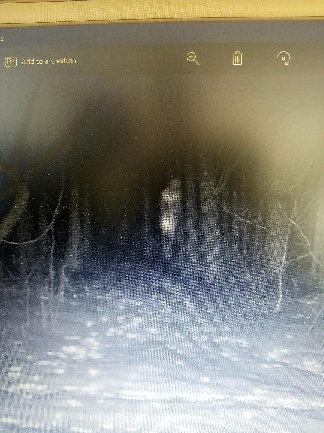 This picture was captured on my buddies trail camera on the land we hunt. It's all private land