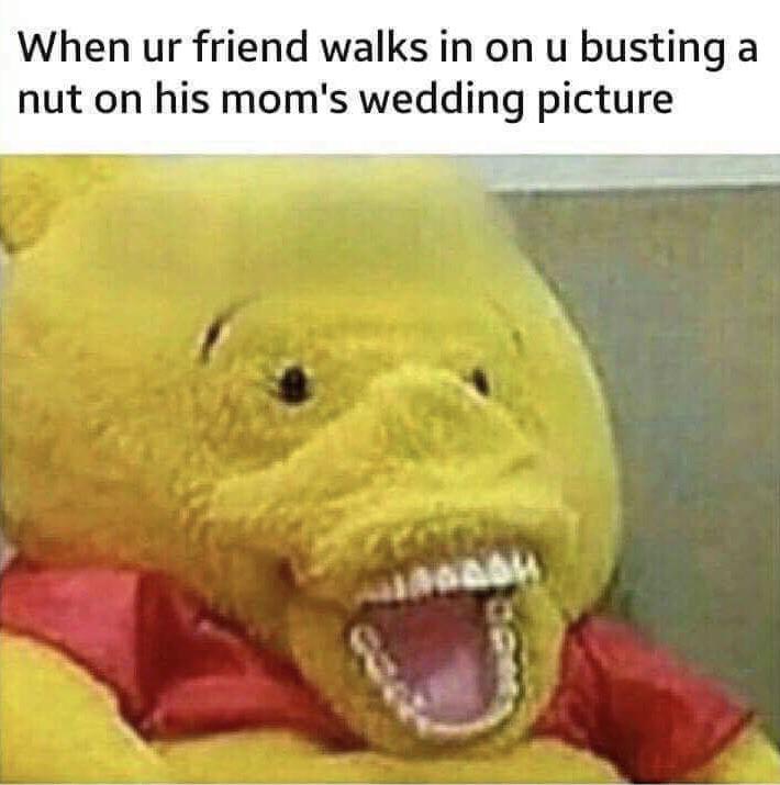 Finna Bust A Nut Meme Pict