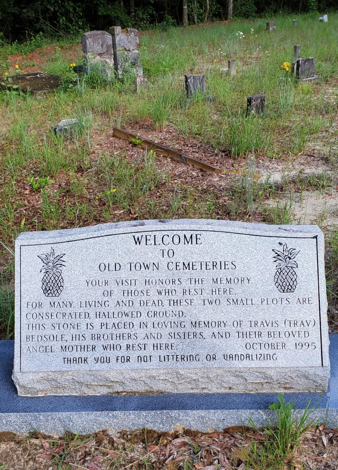 Old town cemetery, aka Teel creek cemetery in Kinston, Alabama. A lot
