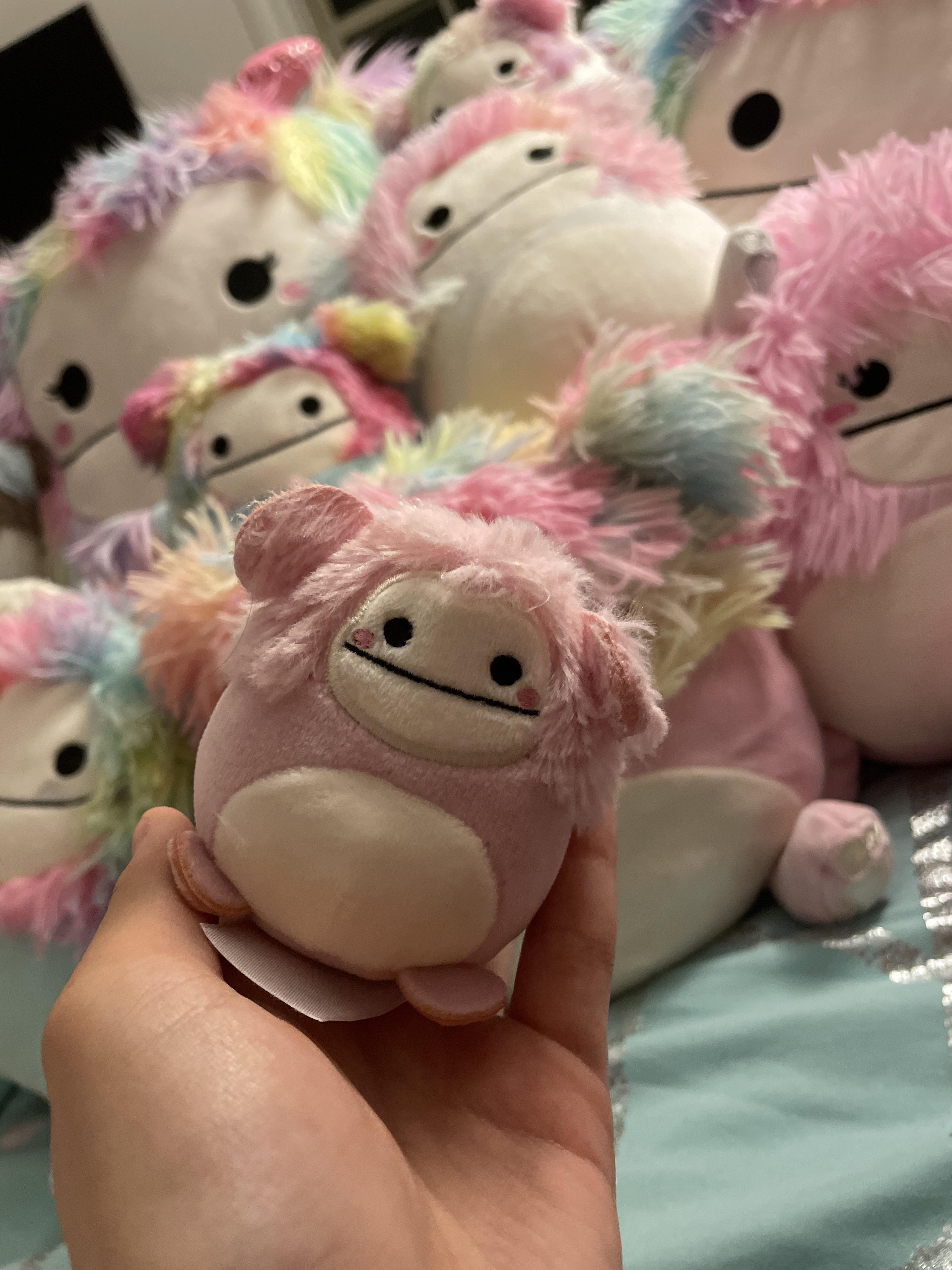 What’s your biggest Squishmallow flex? (Pic for attention) r/squishmallow