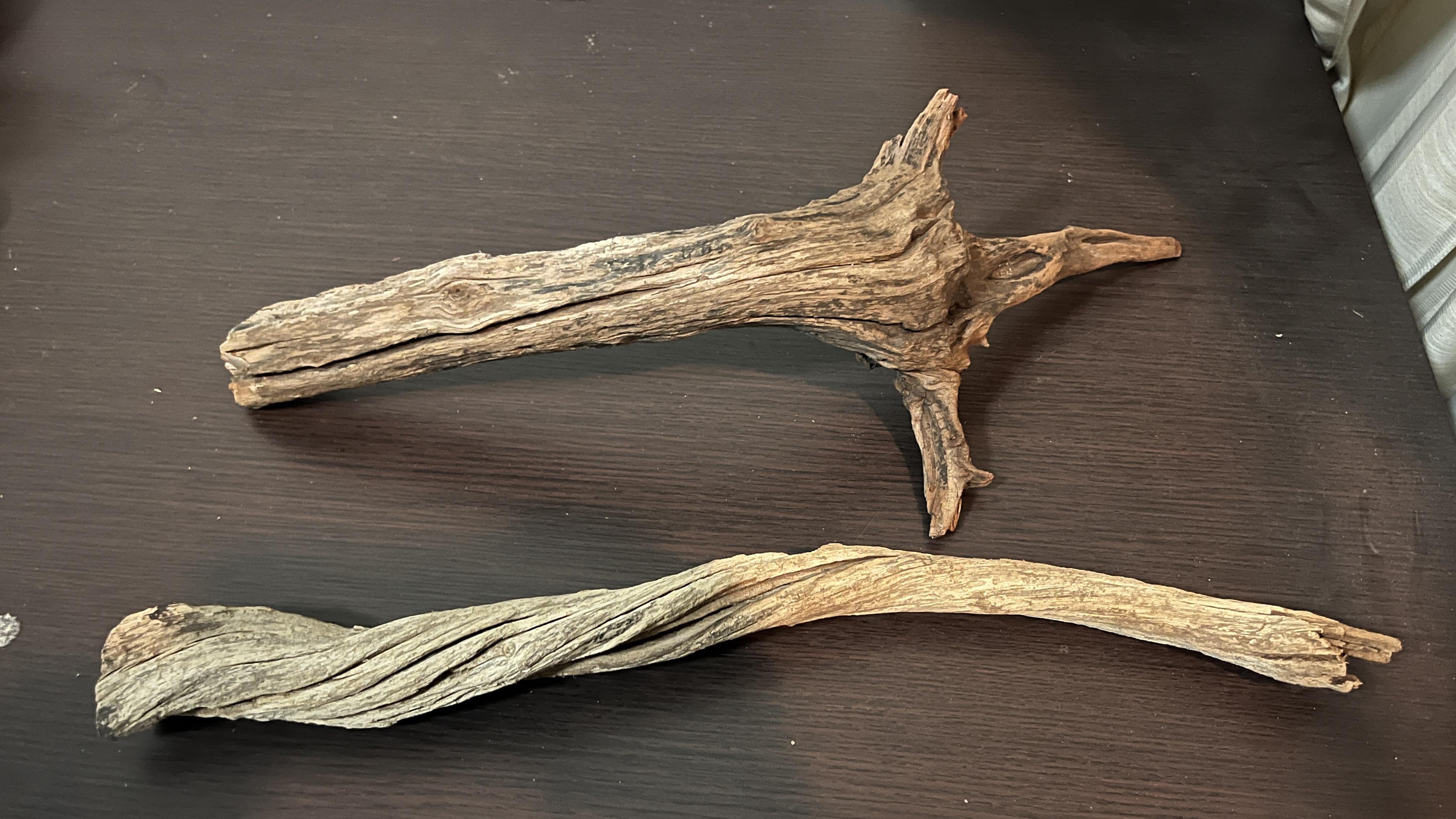 Do i have to boil these drift wood? r/PlantedTank
