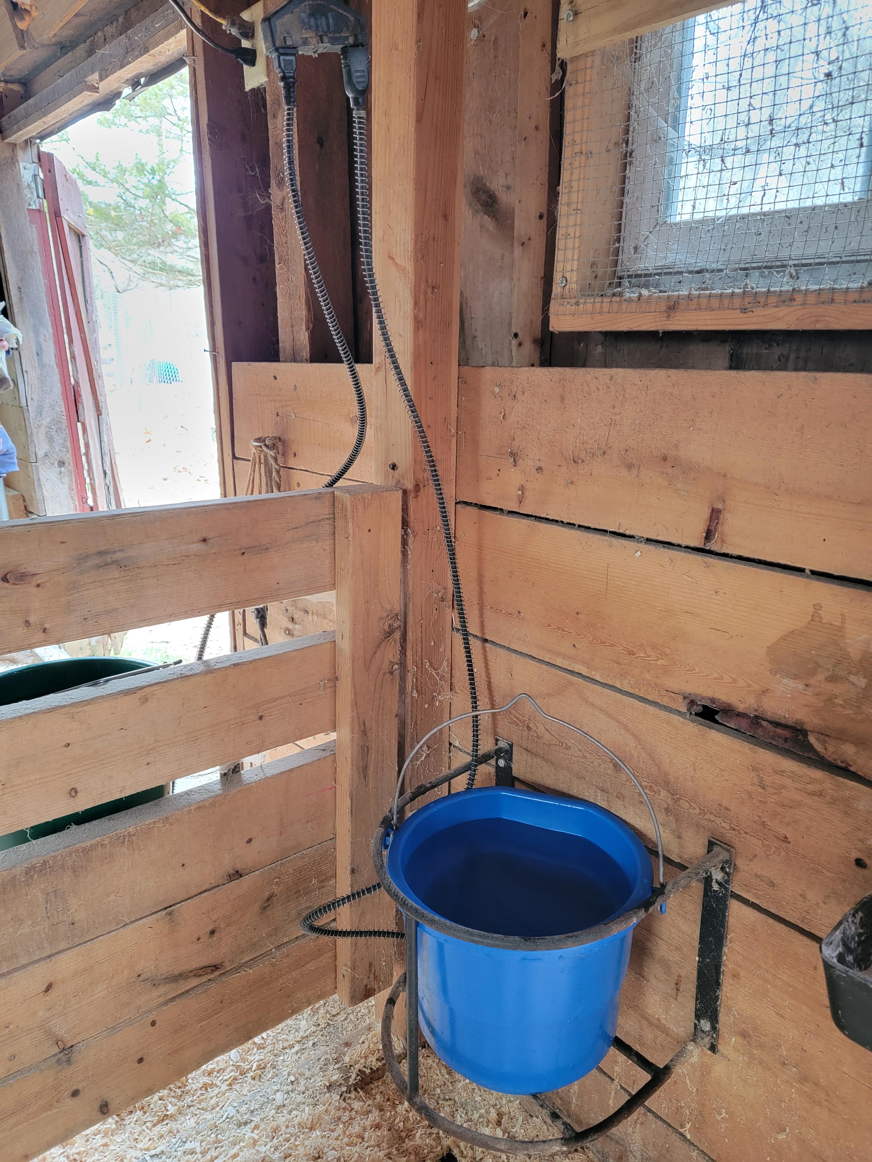 We use heated buckets in the barn during the winter to avoid water