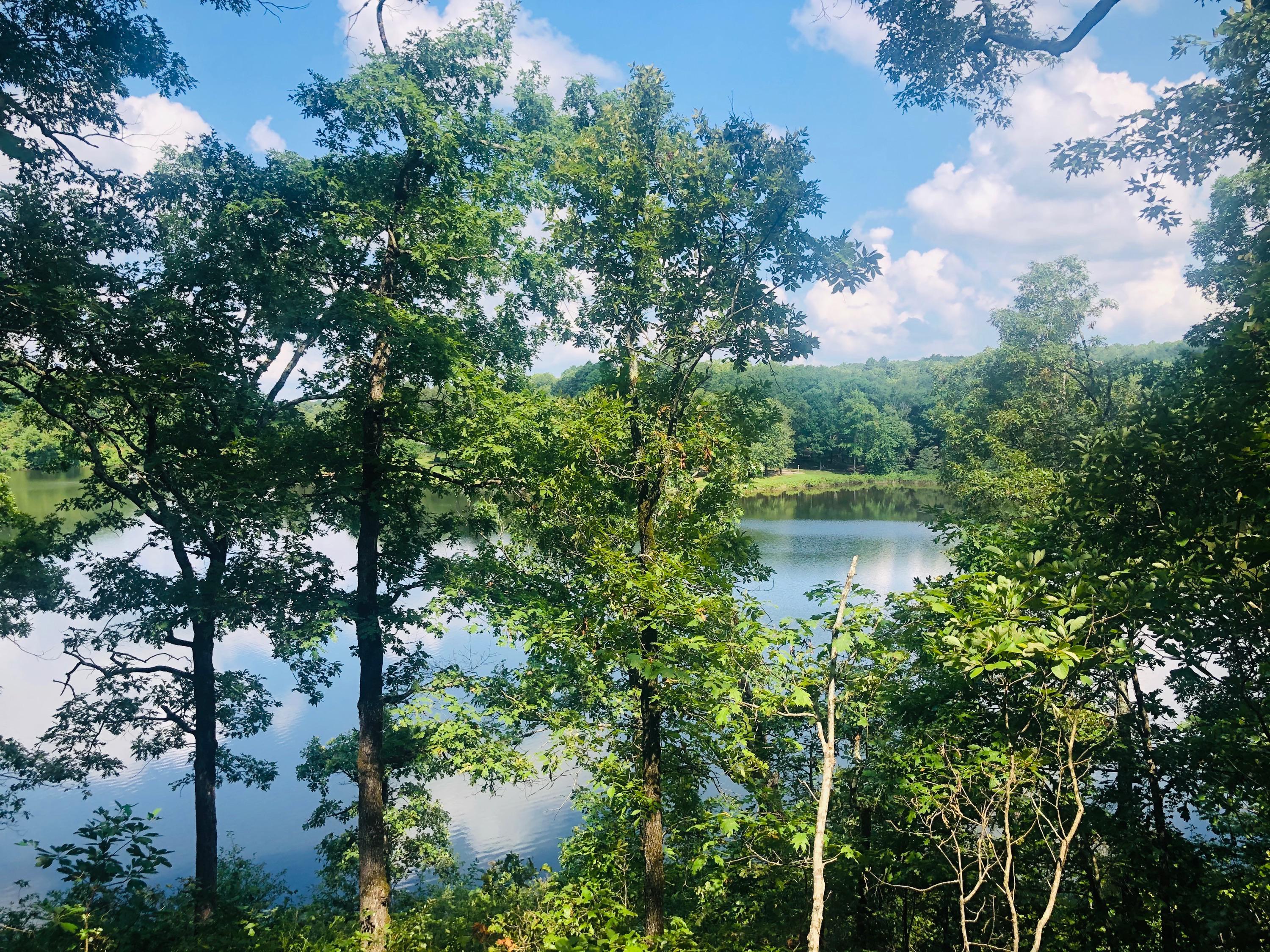 Huckleberry Trail at Woolly Hollow State Park r/Arkansas