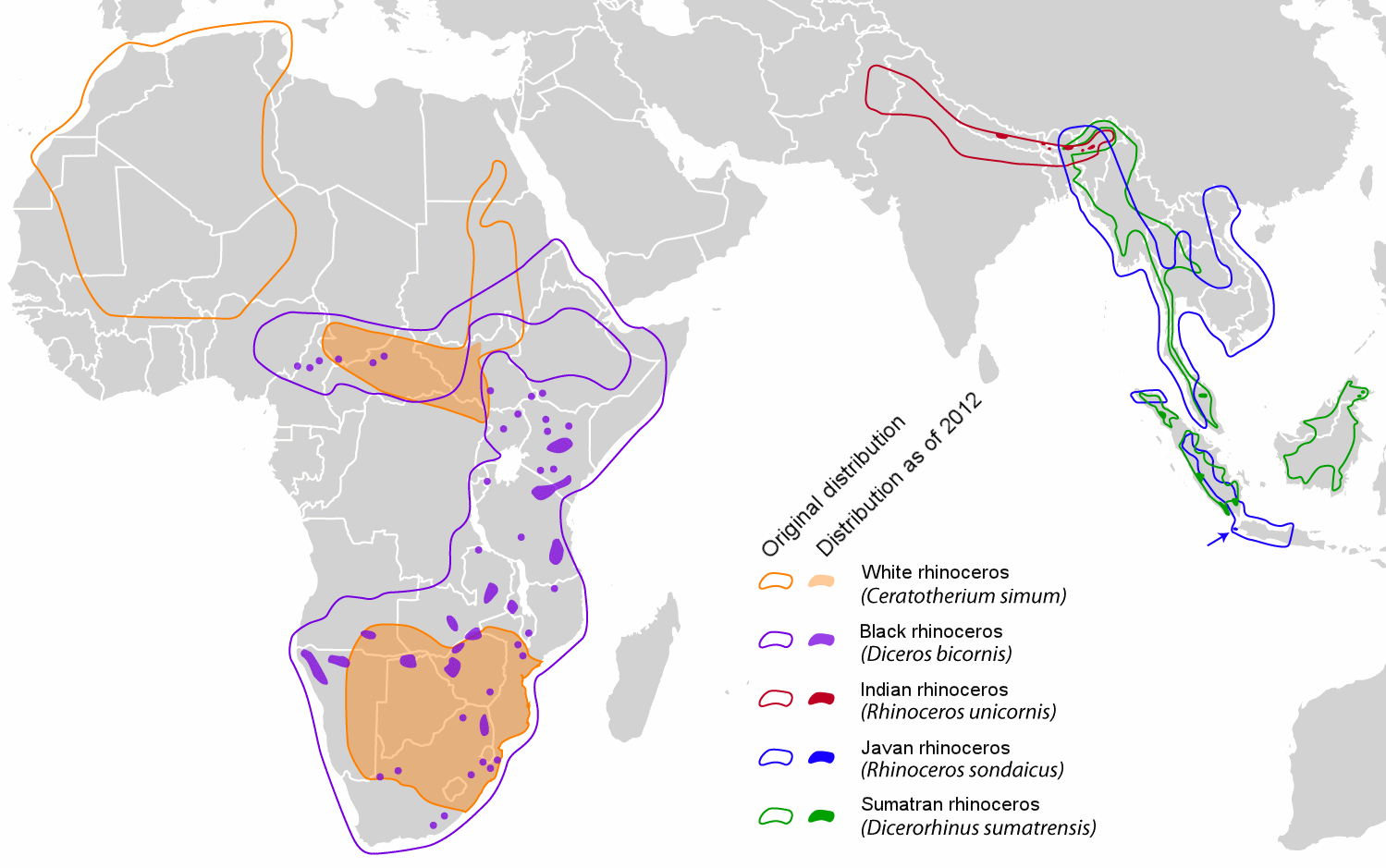 Current and Past Global Rhino Distribution r/MapPorn