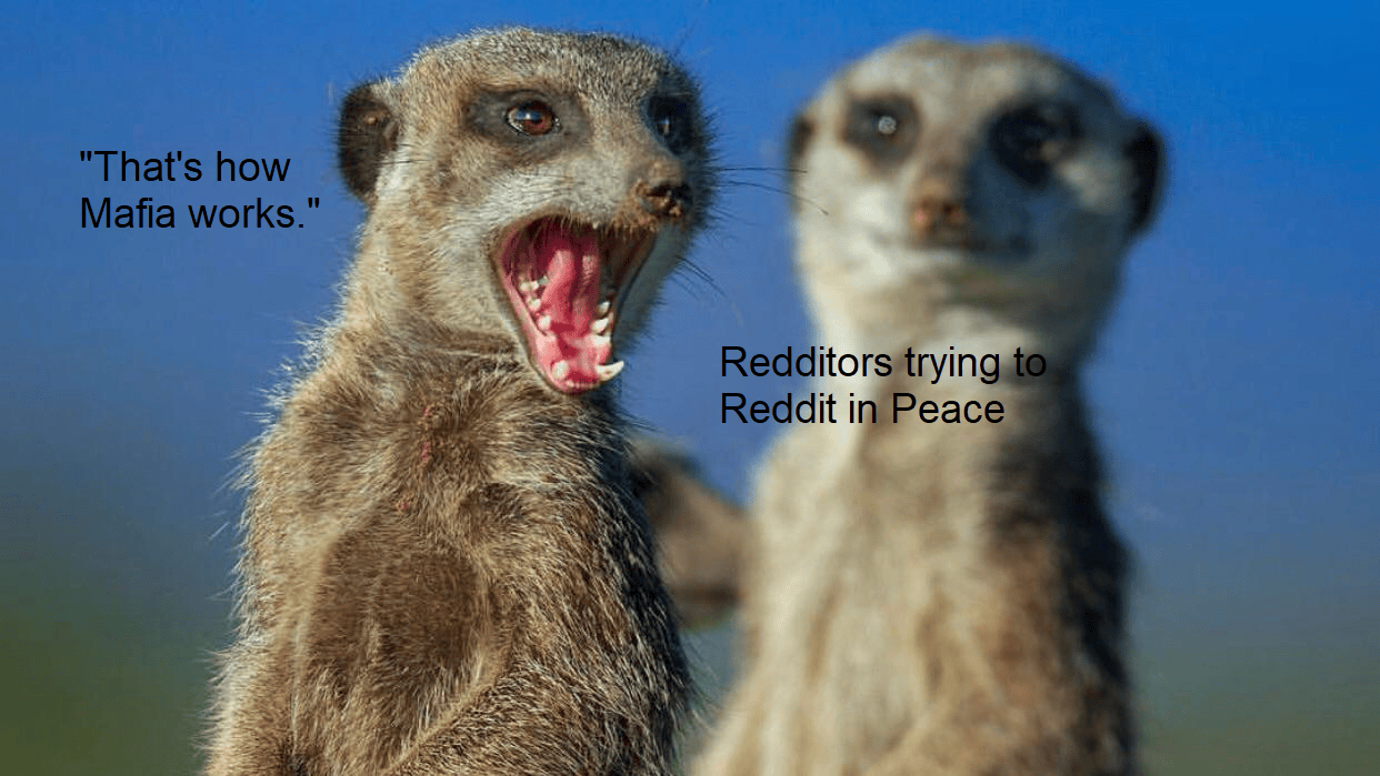 And then there were Meerkats via /r/memes funny memes content