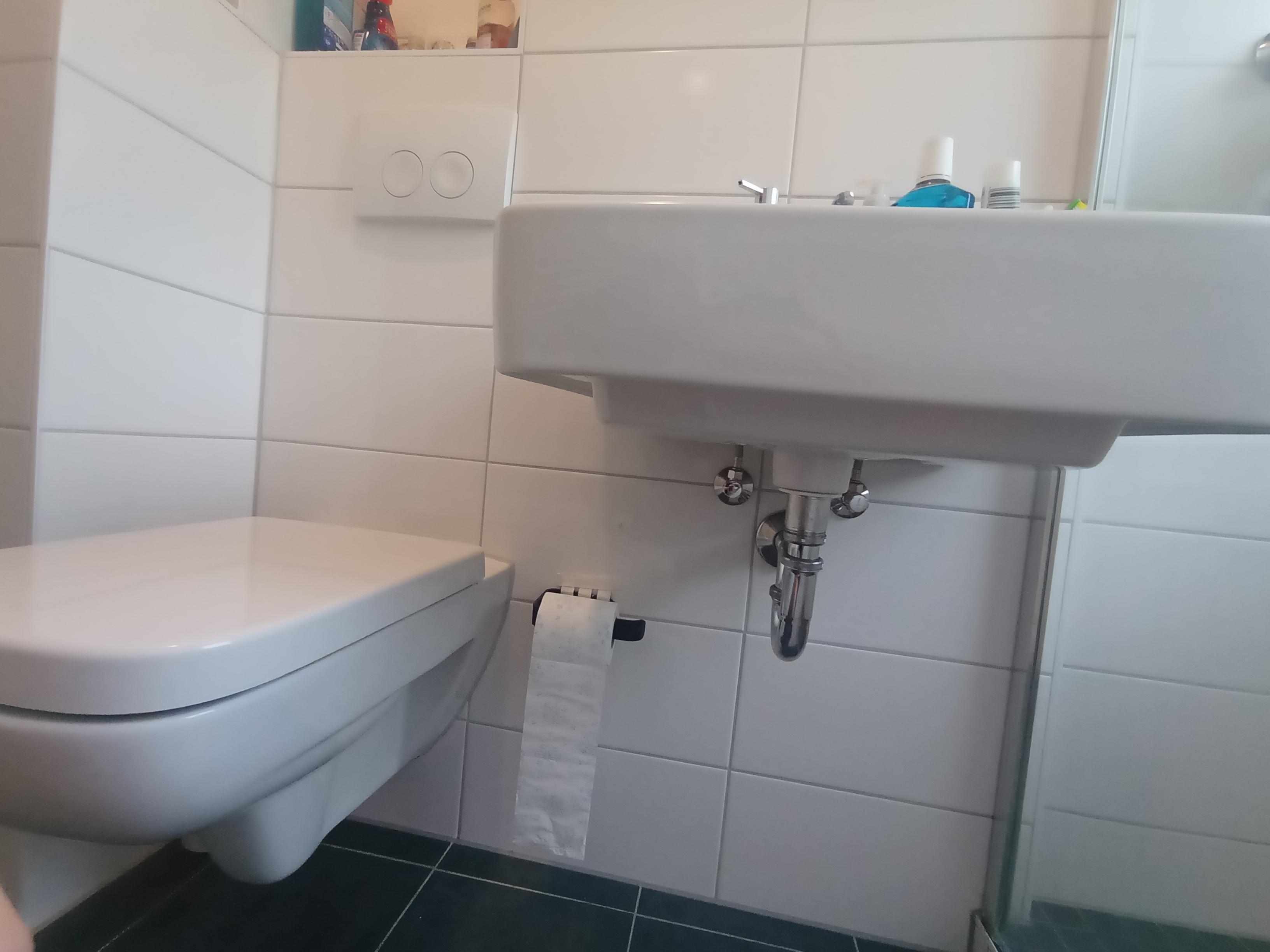 Can I attach a bidet from down the sink ? r/bidets