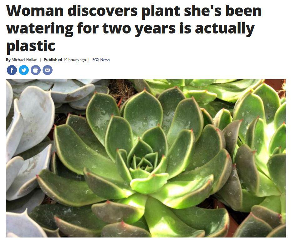 There's a reason your plant never died, never grew, always bloomed and