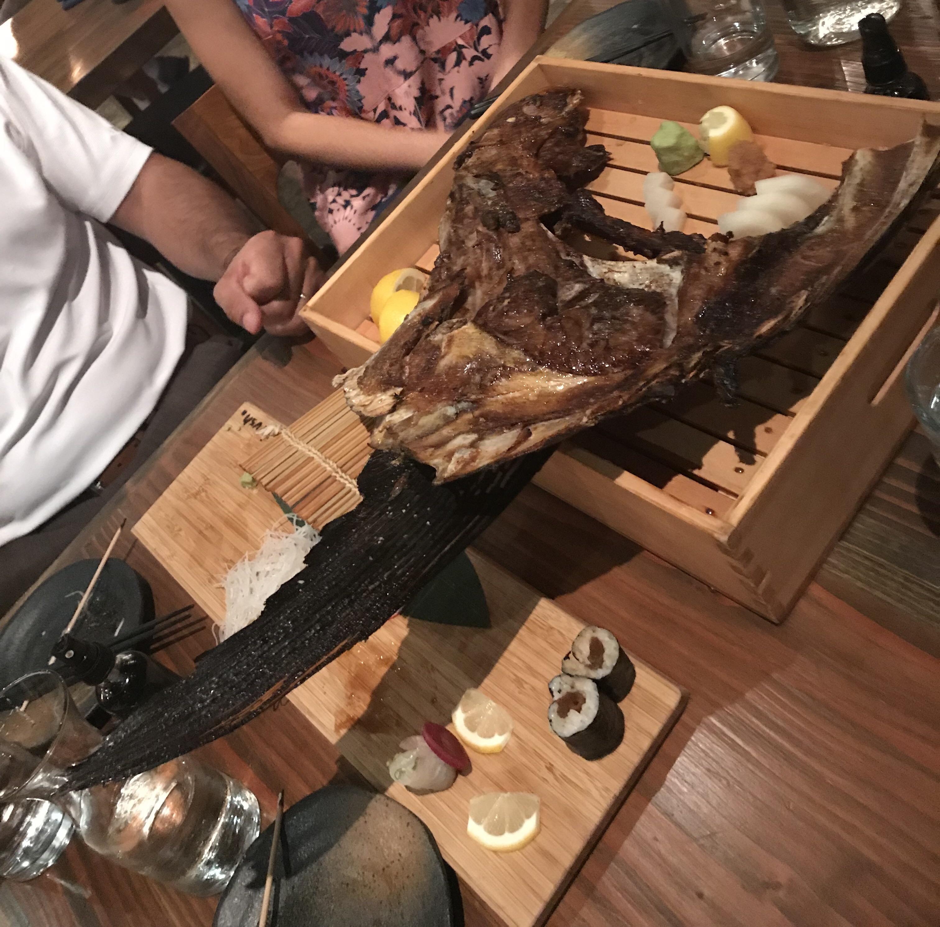 [I ate] a massive charcoal grilled tuna collar r/food