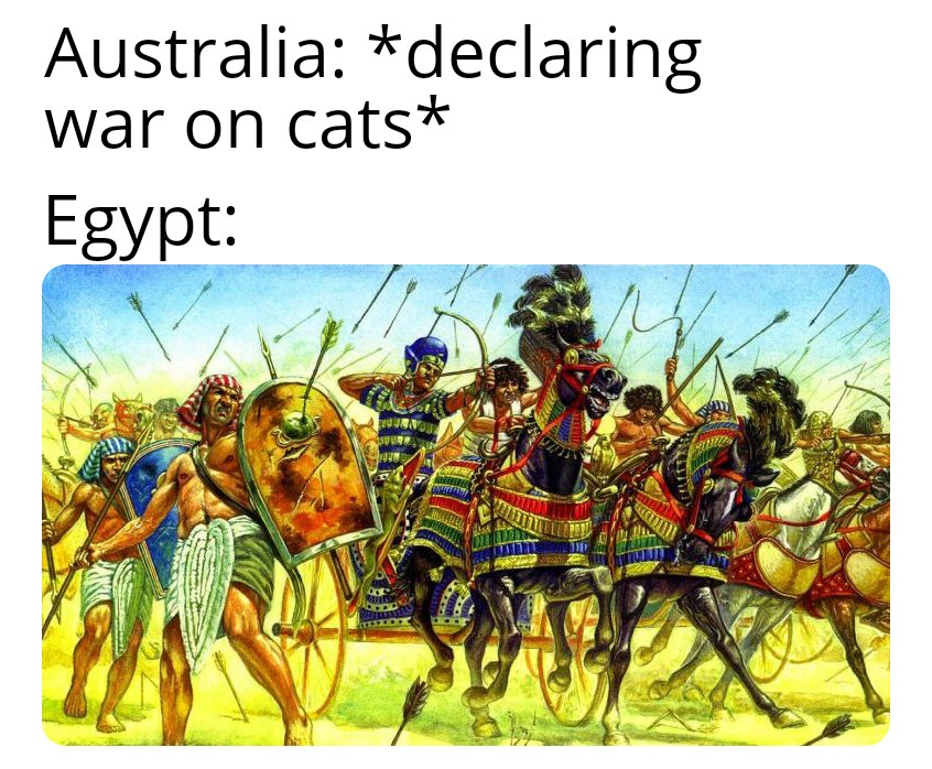 It's a meme about ancient Egypt r/HistoryMemes